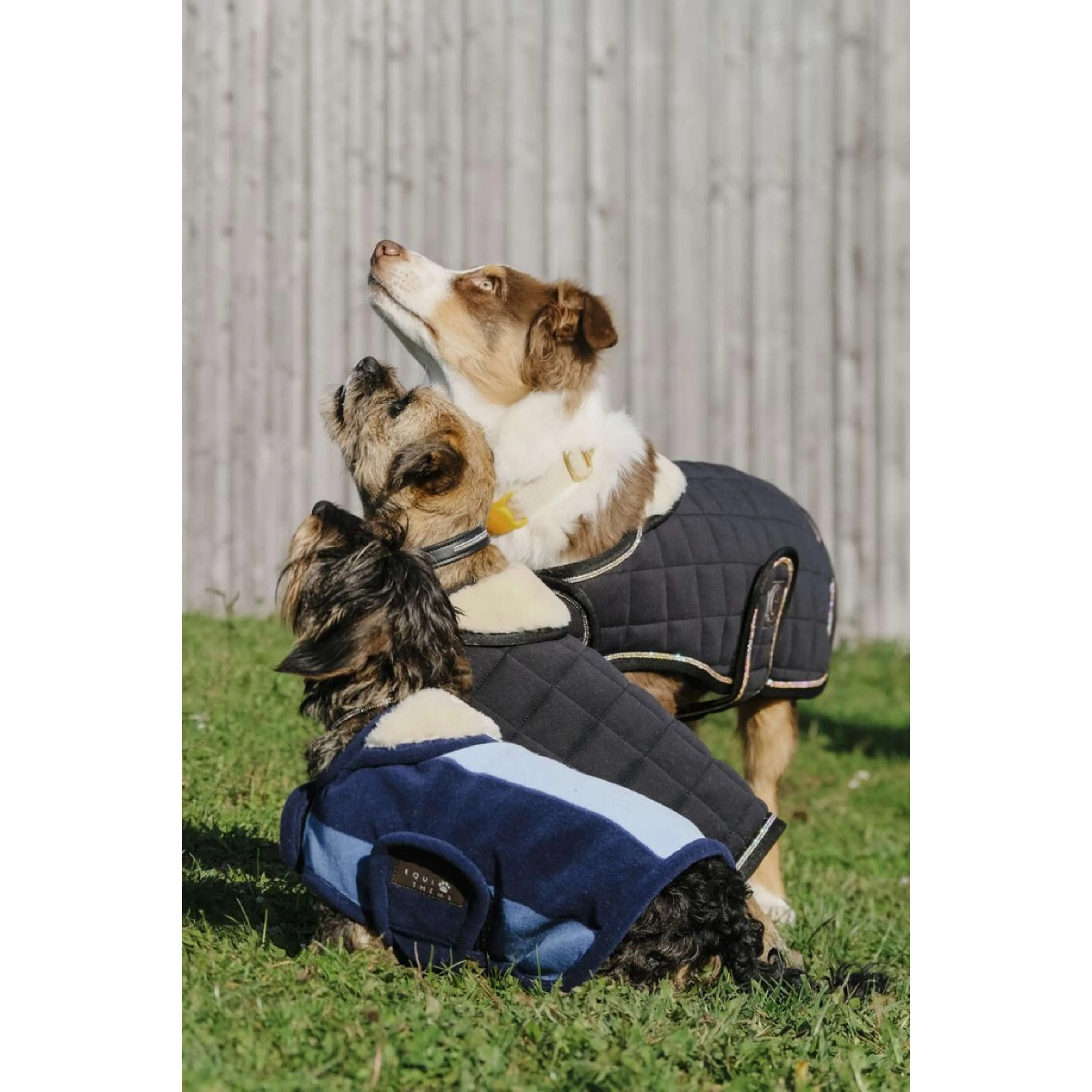 EQUITHÈME Hundedecke New Market Navy - Image 6