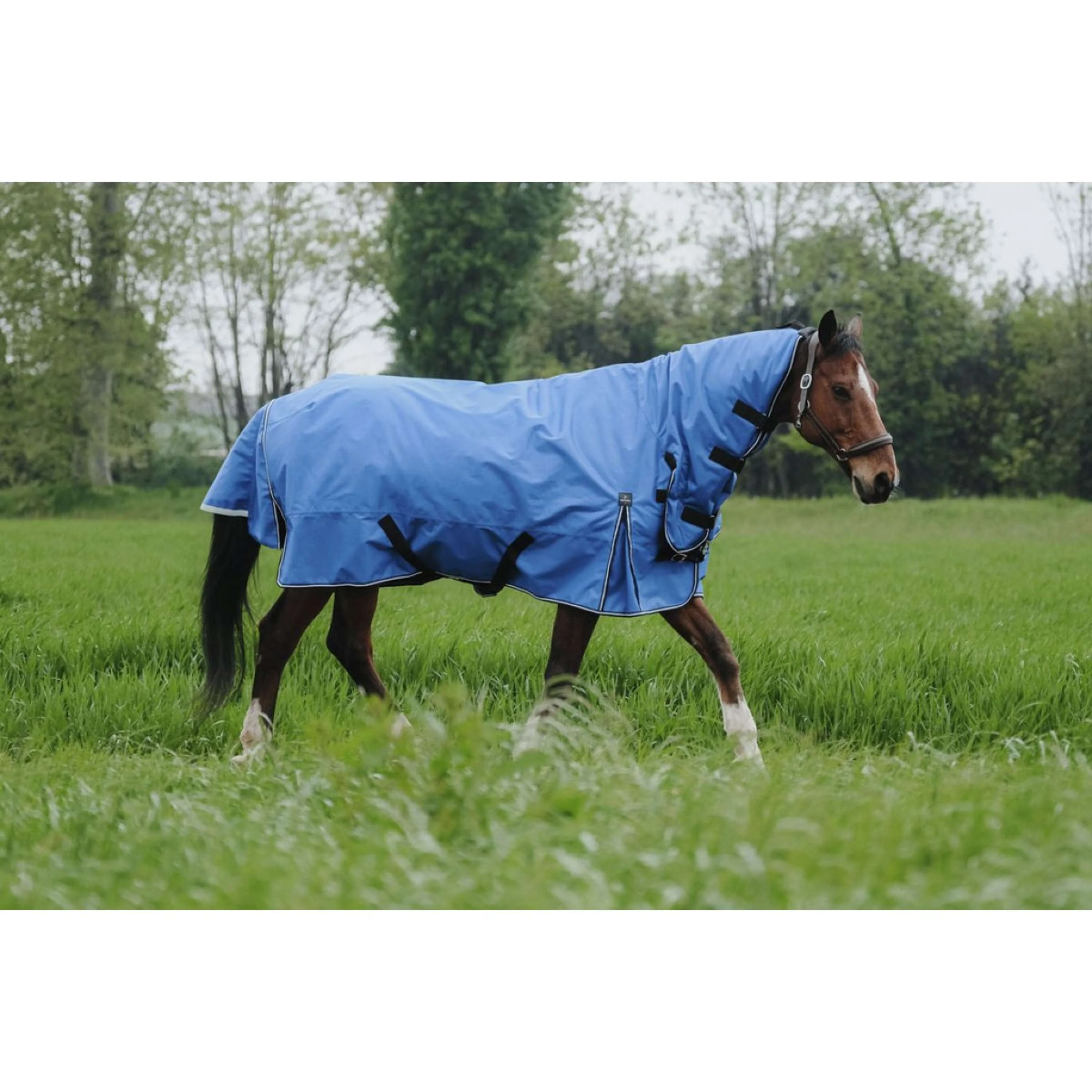 EQUITHÈME Outdoordecke Tyrex 1200D 100g Aisance Combo Royal Blue - Image 2