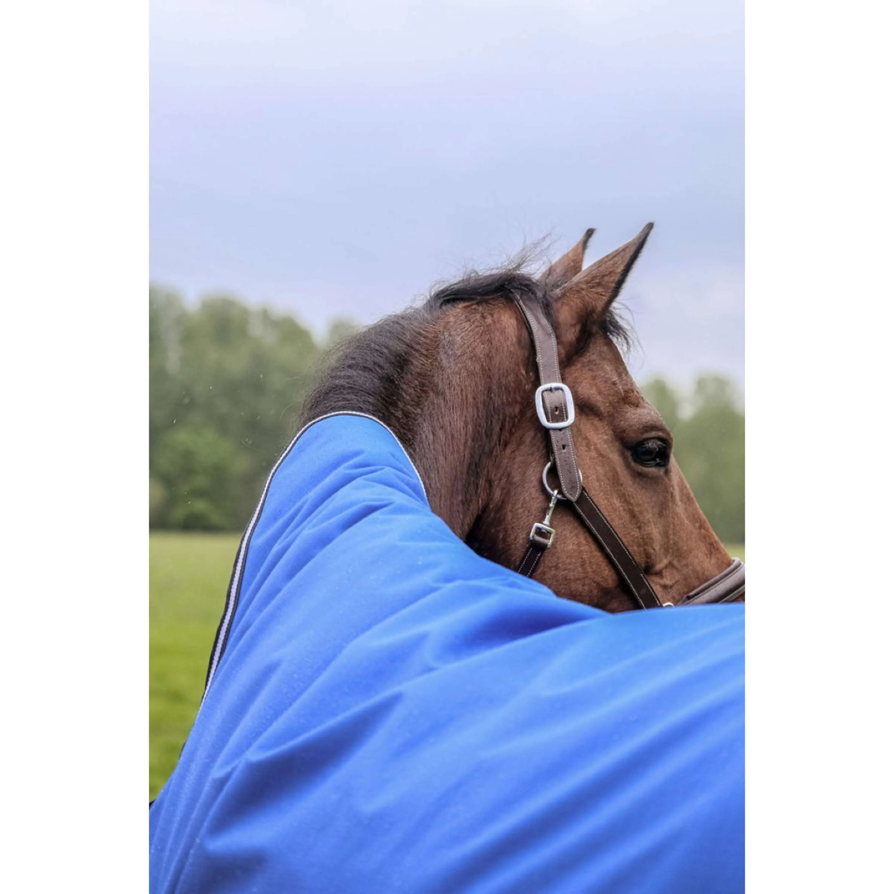 EQUITHÈME Outdoordecke Tyrex 1200D 100g Aisance Combo Royal Blue - Image 8
