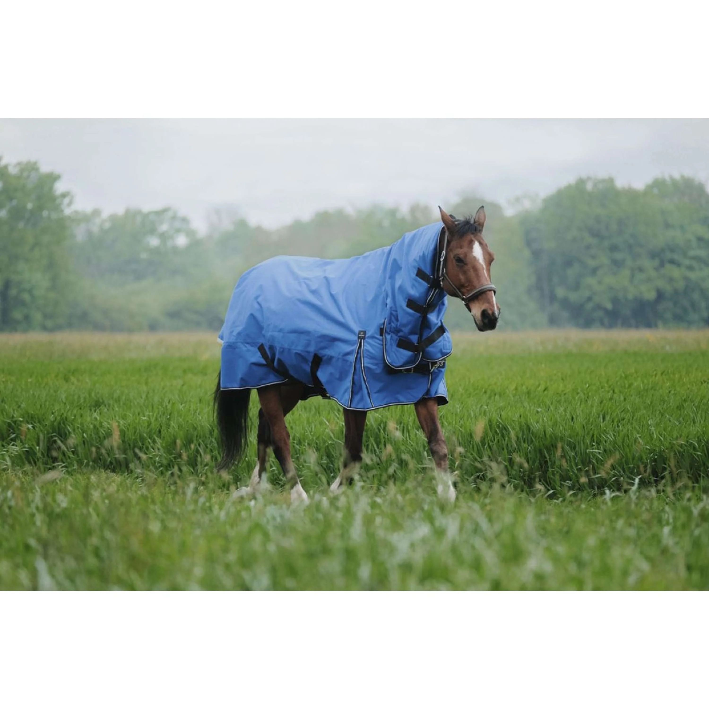 EQUITHÈME Outdoordecke Tyrex 1200D 300g Aisance Combo Royal Blue - Image 3