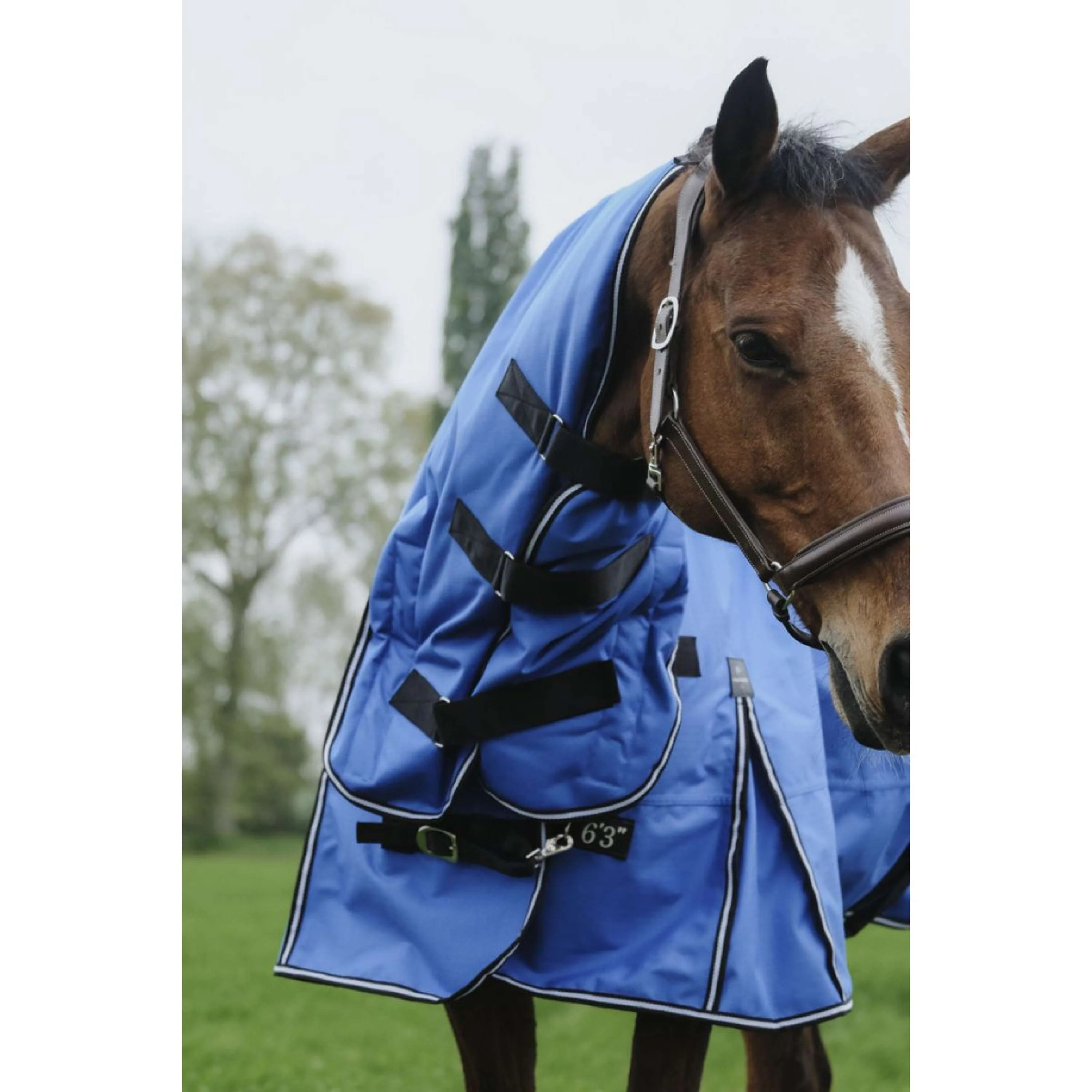 EQUITHÈME Outdoordecke Tyrex 1200D 300g Aisance Combo Royal Blue - Image 4