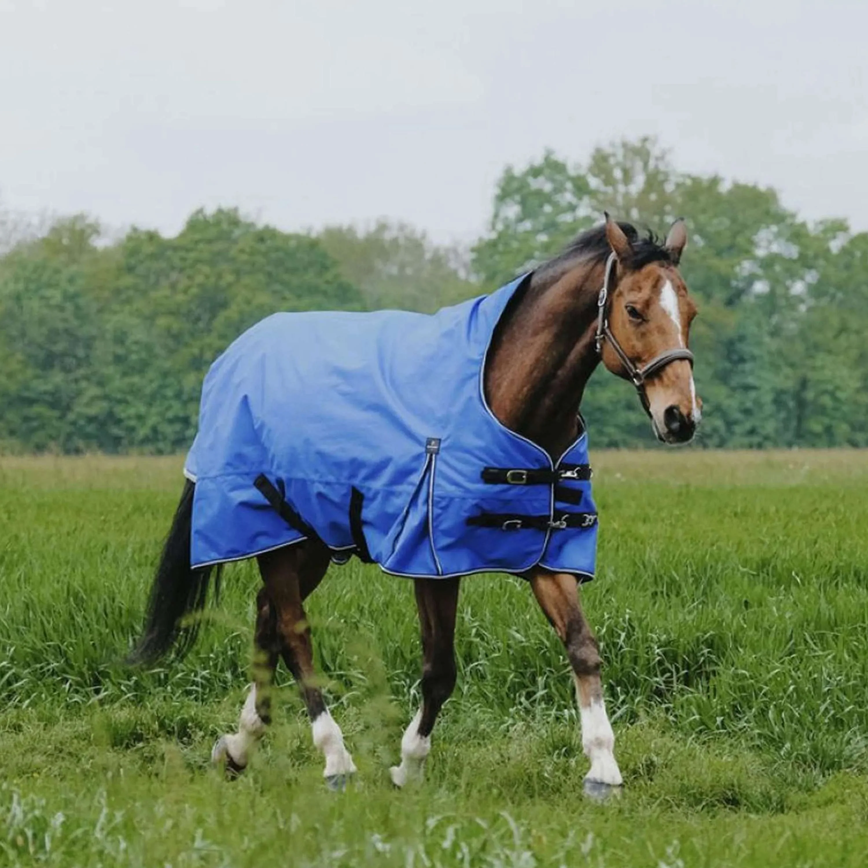 EQUITHÈME Outdoordecke Tyrex 1200D 150g Aisance High Neck Royal Blue