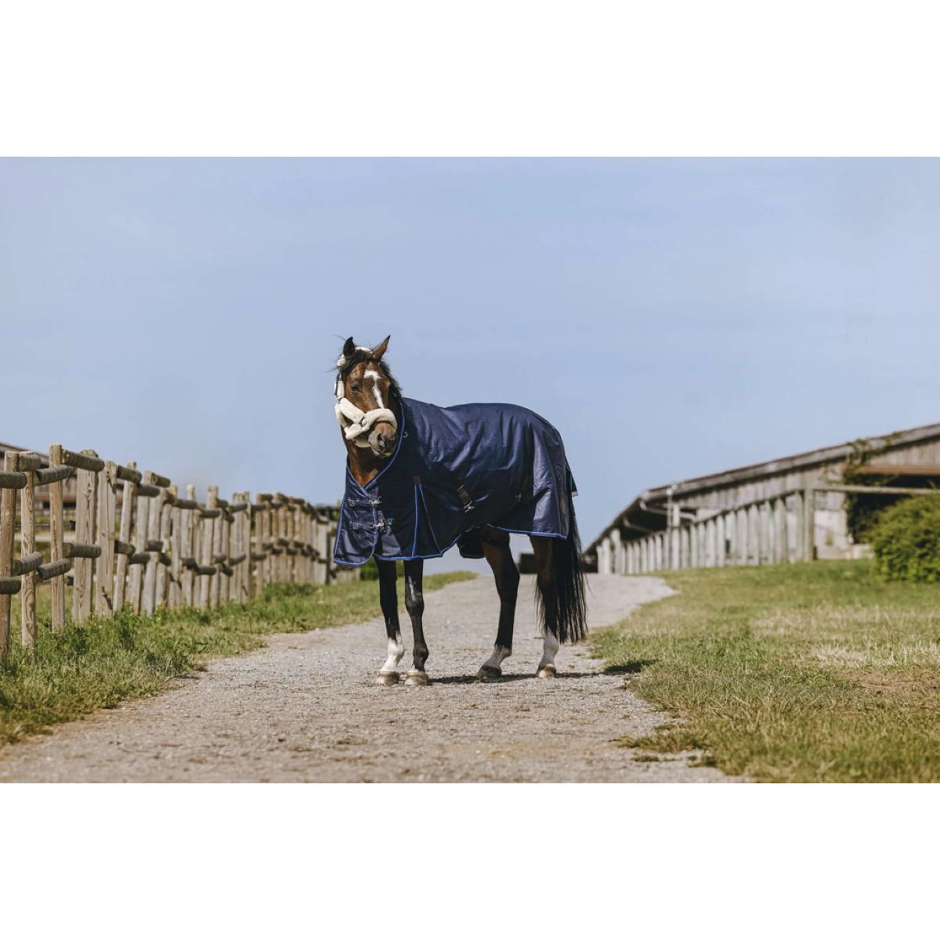 EQUITHÈME Outdoordecke Classic 1200D High Neck 200g Navy - Image 2
