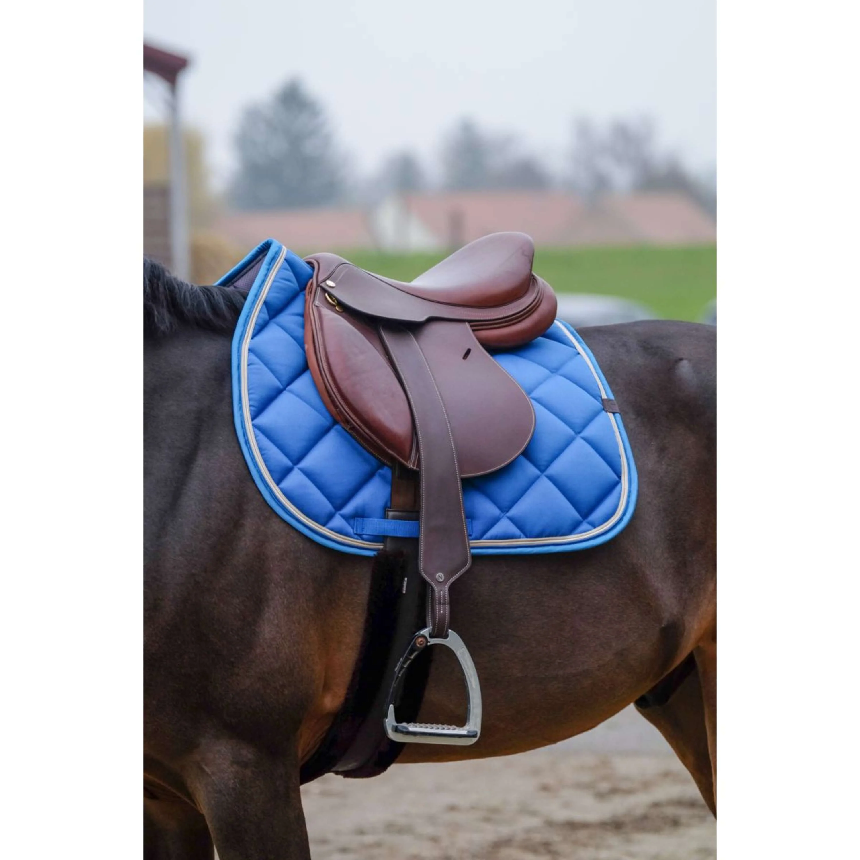 EQUITHÈME Schabracke Classic Springen Königsblau - Image 2