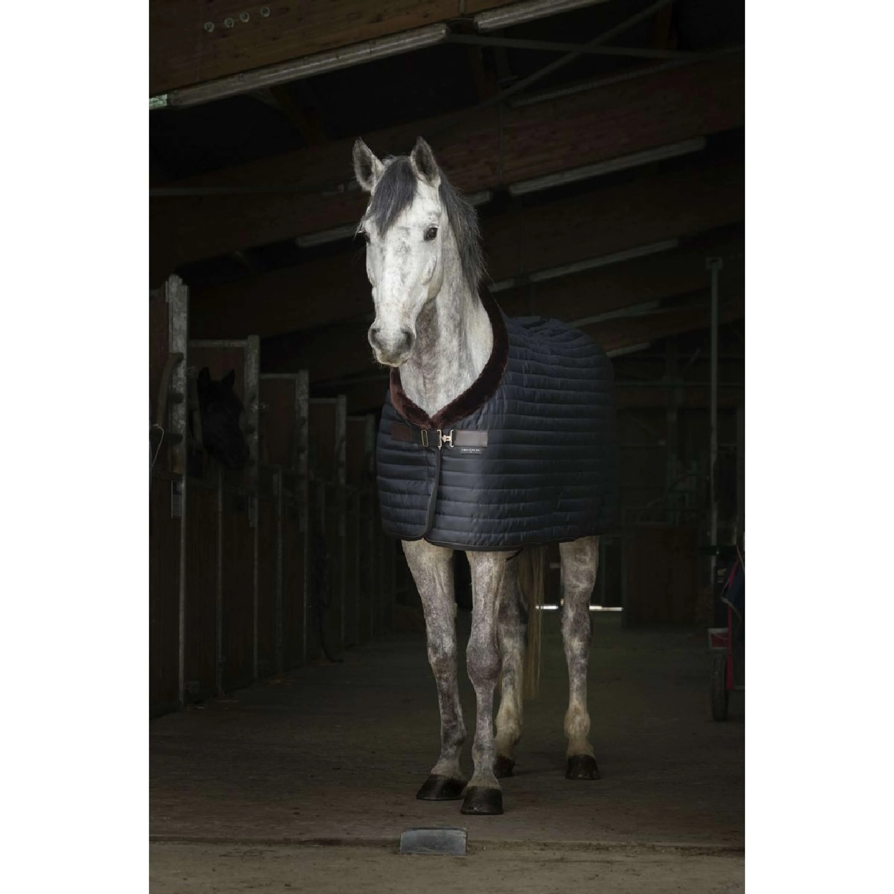 EQUITHÈME Stalldecke Teddy Gefüttert mit Synthetischem Schaffell Schwarz/Braun - Image 10