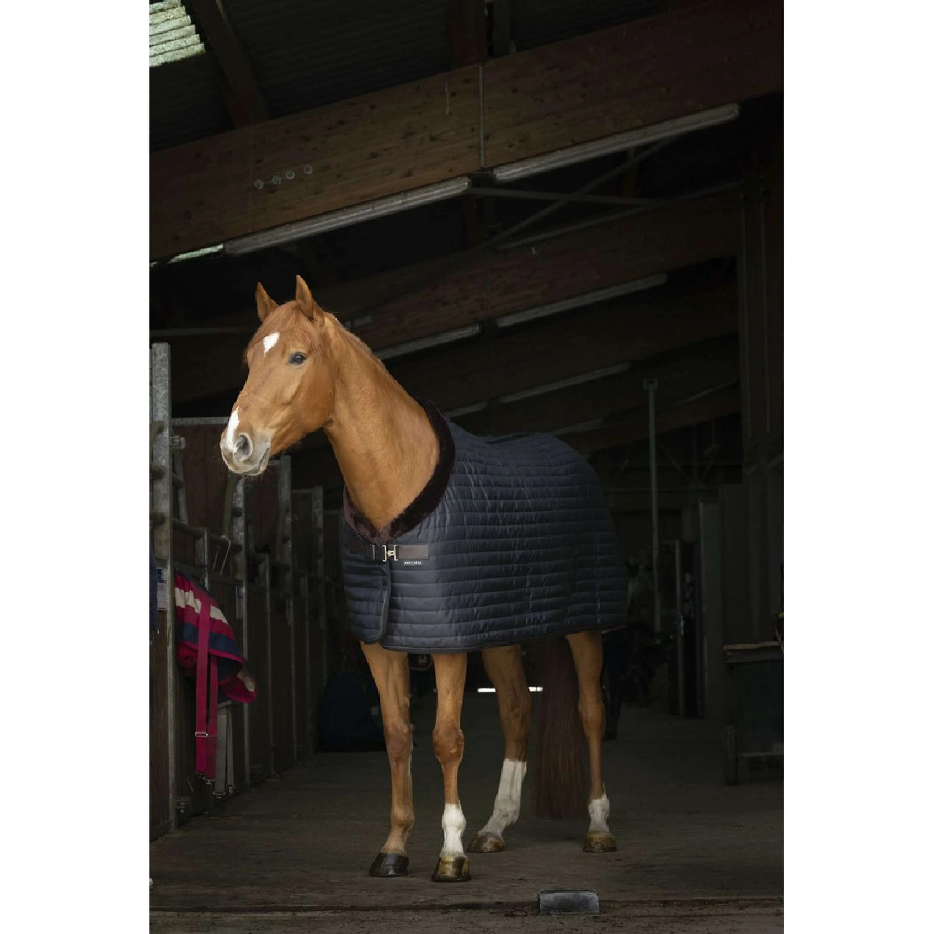 EQUITHÈME Stalldecke Teddy Gefüttert mit Synthetischem Schaffell Schwarz/Braun - Image 9