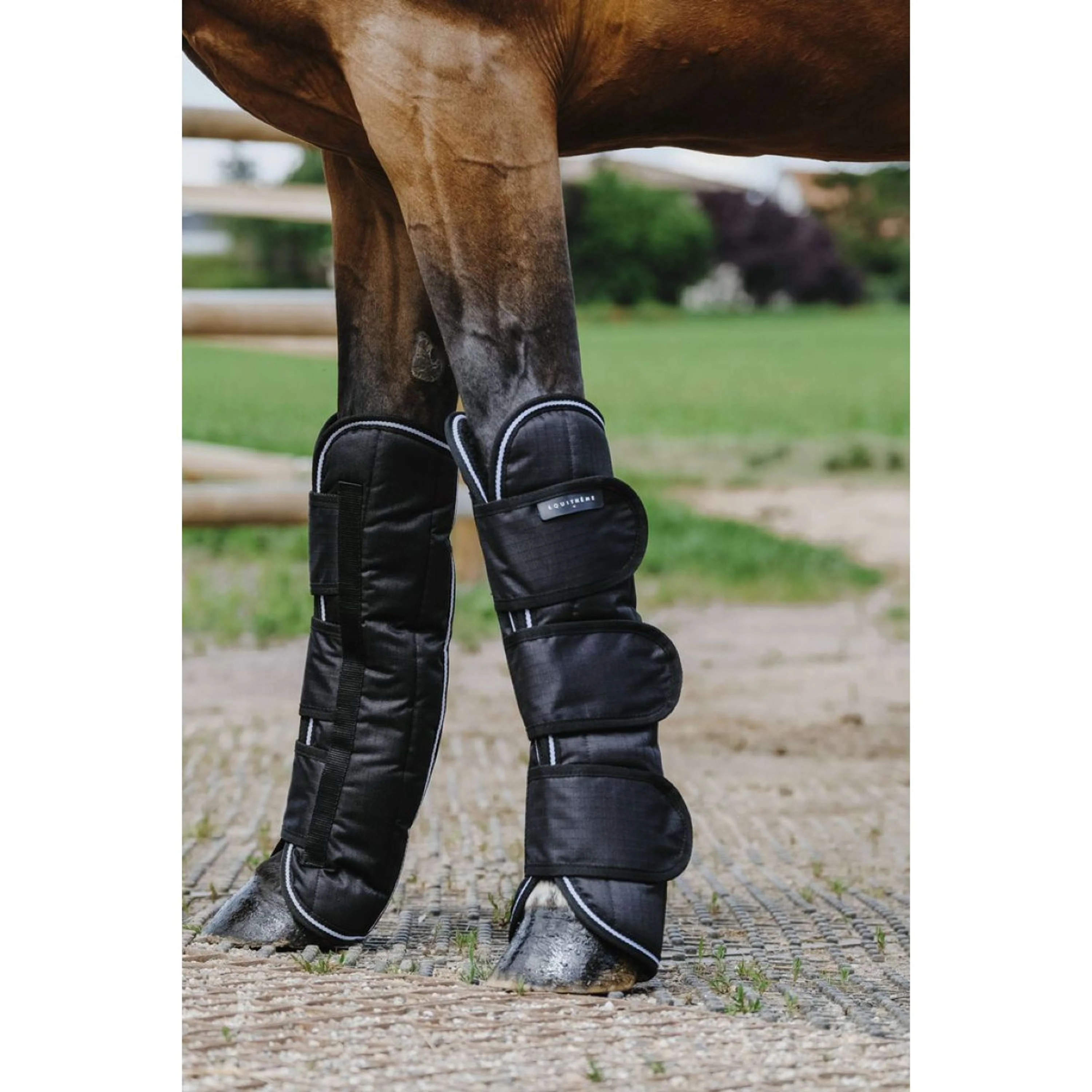 EQUITHÈME Transportgamaschen 600D Schwarz - Image 3