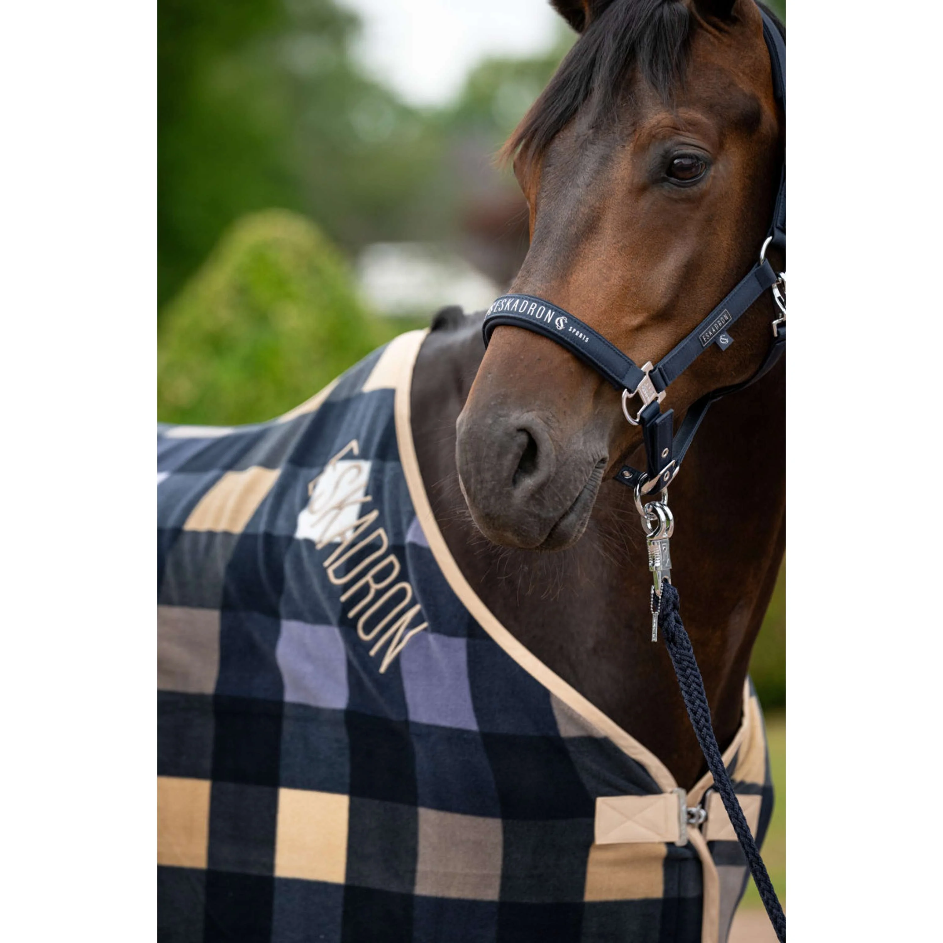 Eskadron Fleecedecke Classic Sports mit Rautenmuster Navy/Sierra/Orchid - Image 3