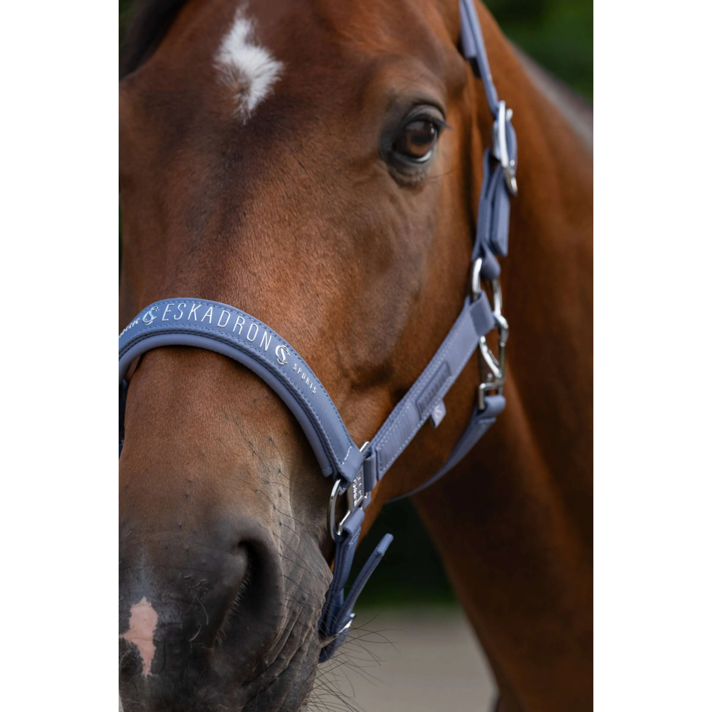 Eskadron Halfter Classic Sports Sparkle Orchid - Image 3