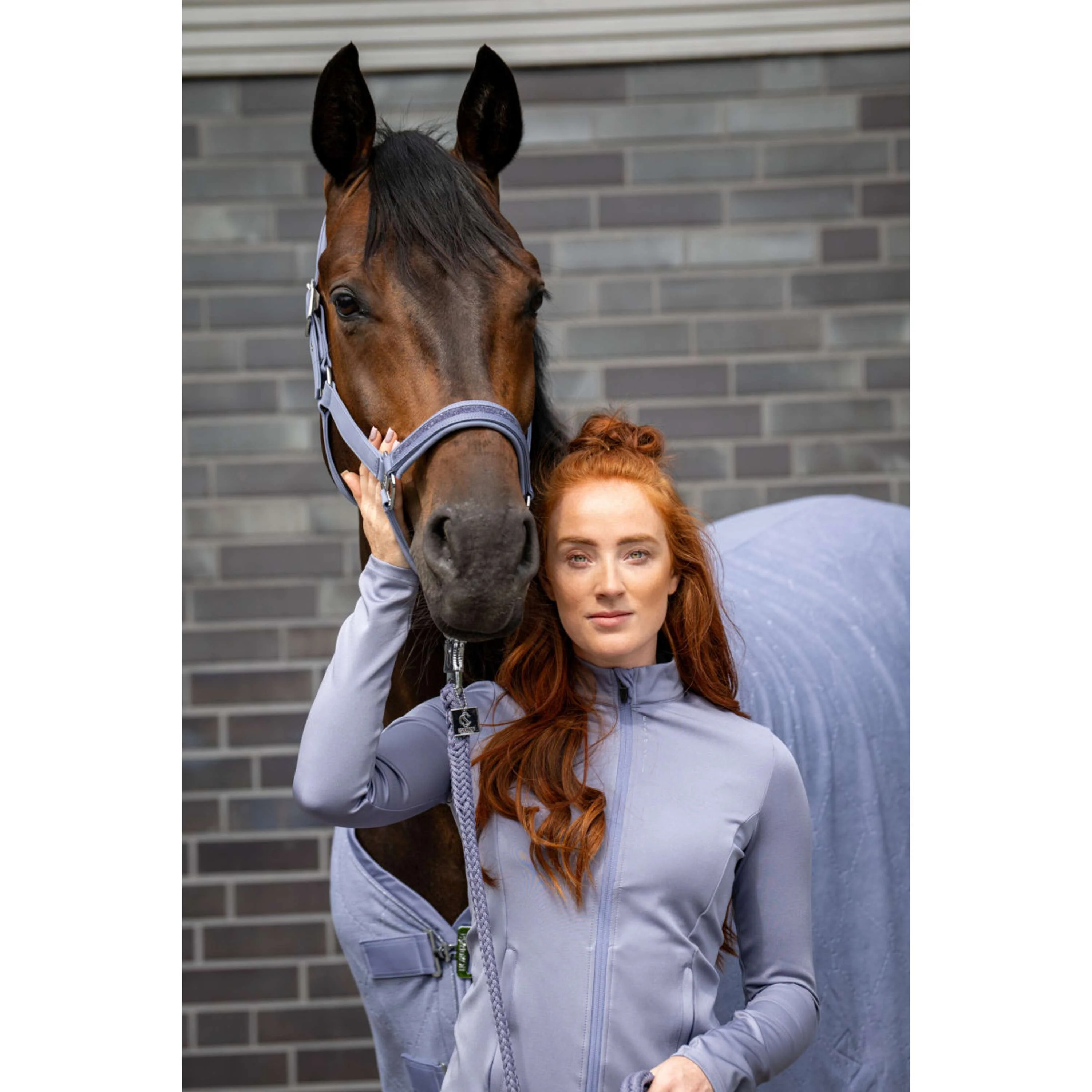 Eskadron Halfter Classic Sports Softshell Jewel Orchid - Image 2