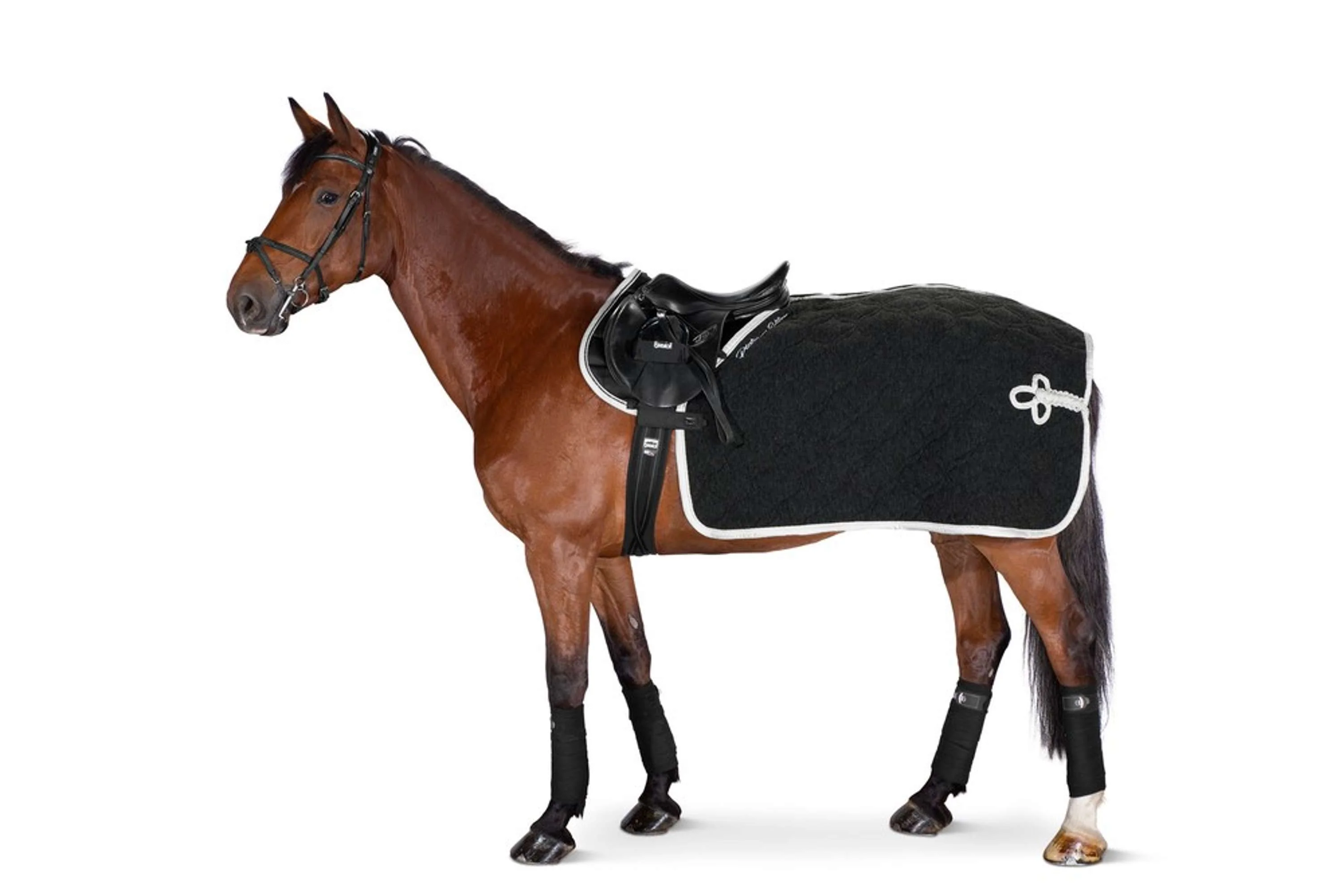 Eskadron Steigbügeltasche Jersey st-cover Schwarz - Image 2