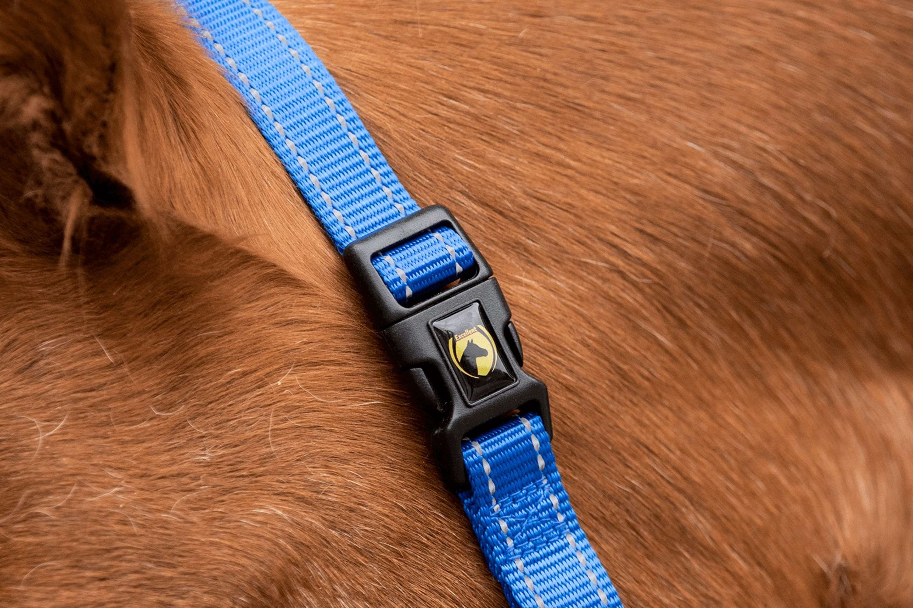 Excellent Halfter Superior Blau - Image 2