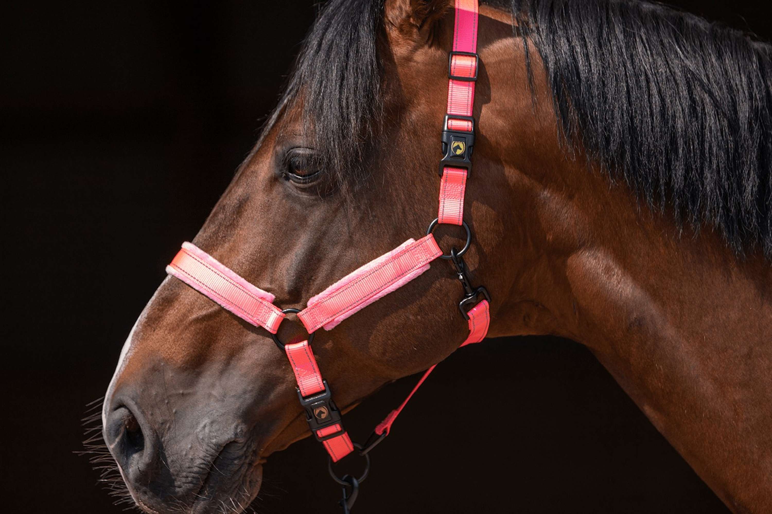 Excellent Halfter Superior Rosa - Image 4