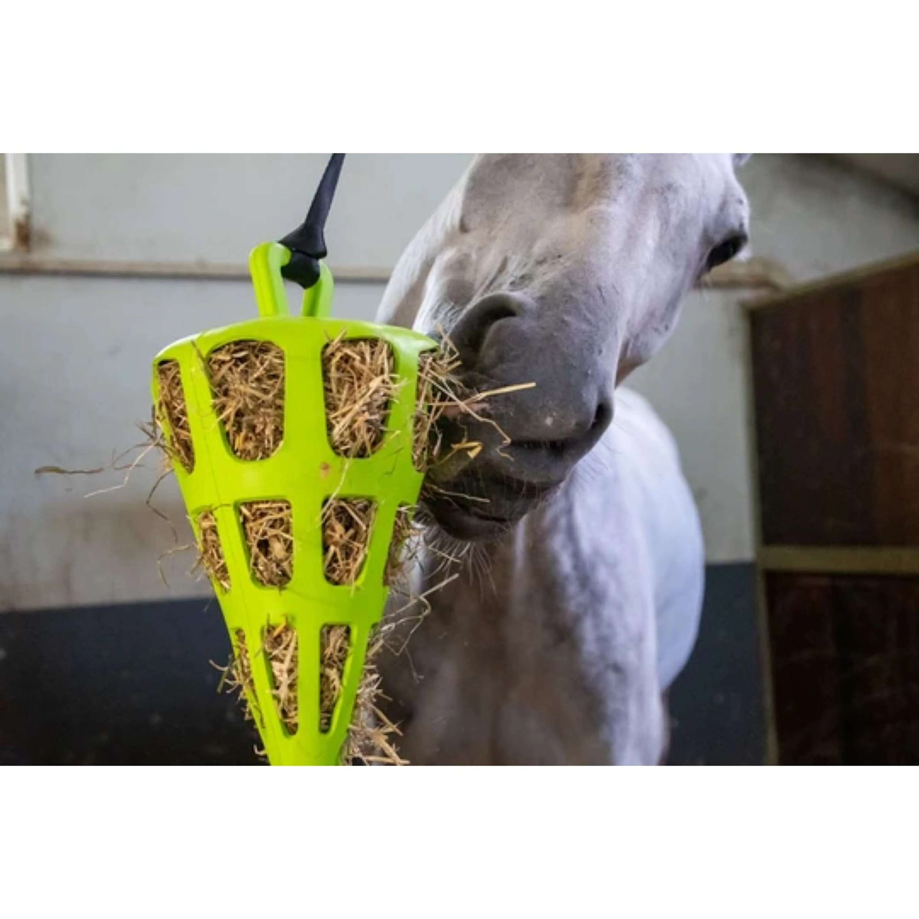 Excellent Slowfeeder Fun and Flex Karotte Grün - Image 2
