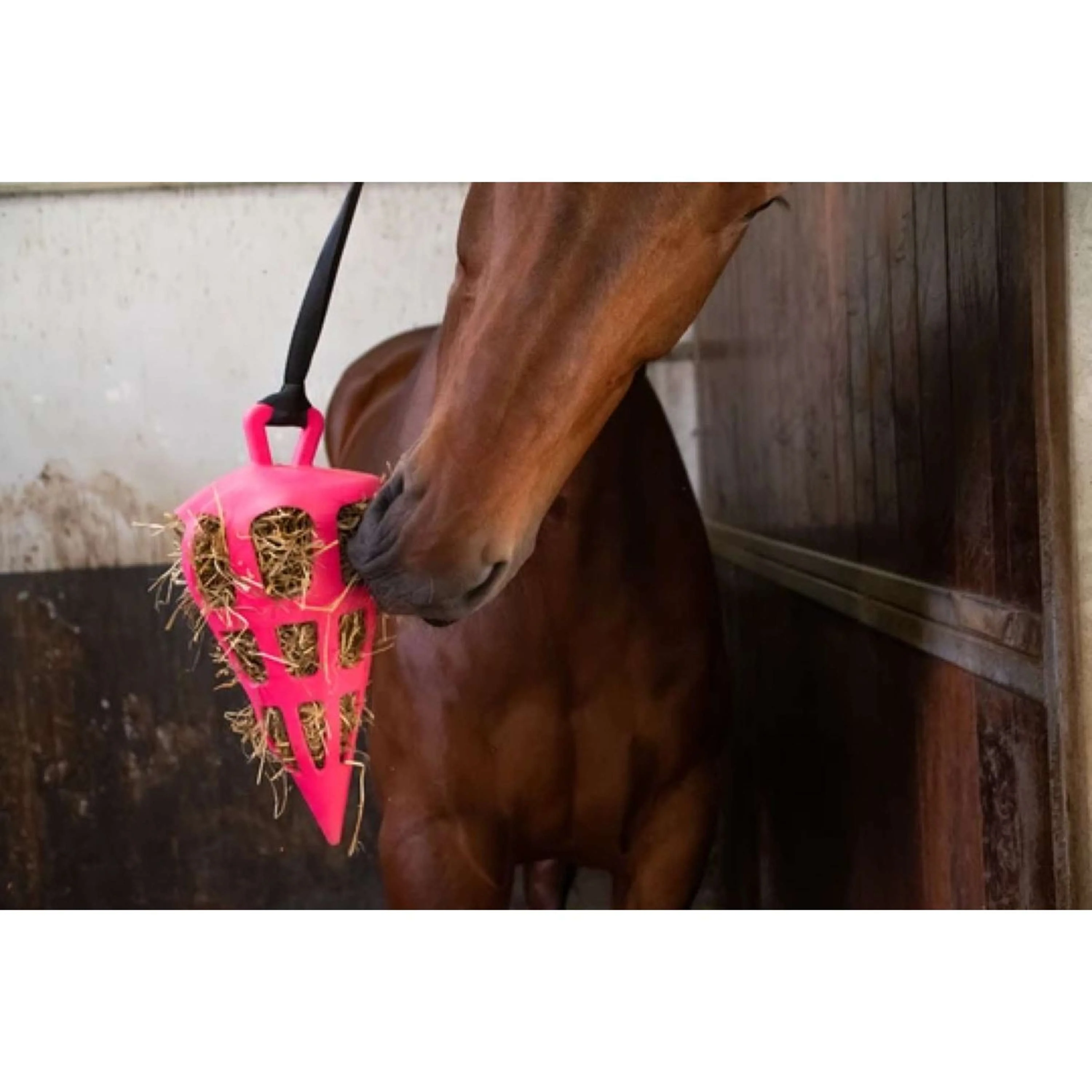 Excellent Slowfeeder Fun and Flex Karotte Rosa - Image 2