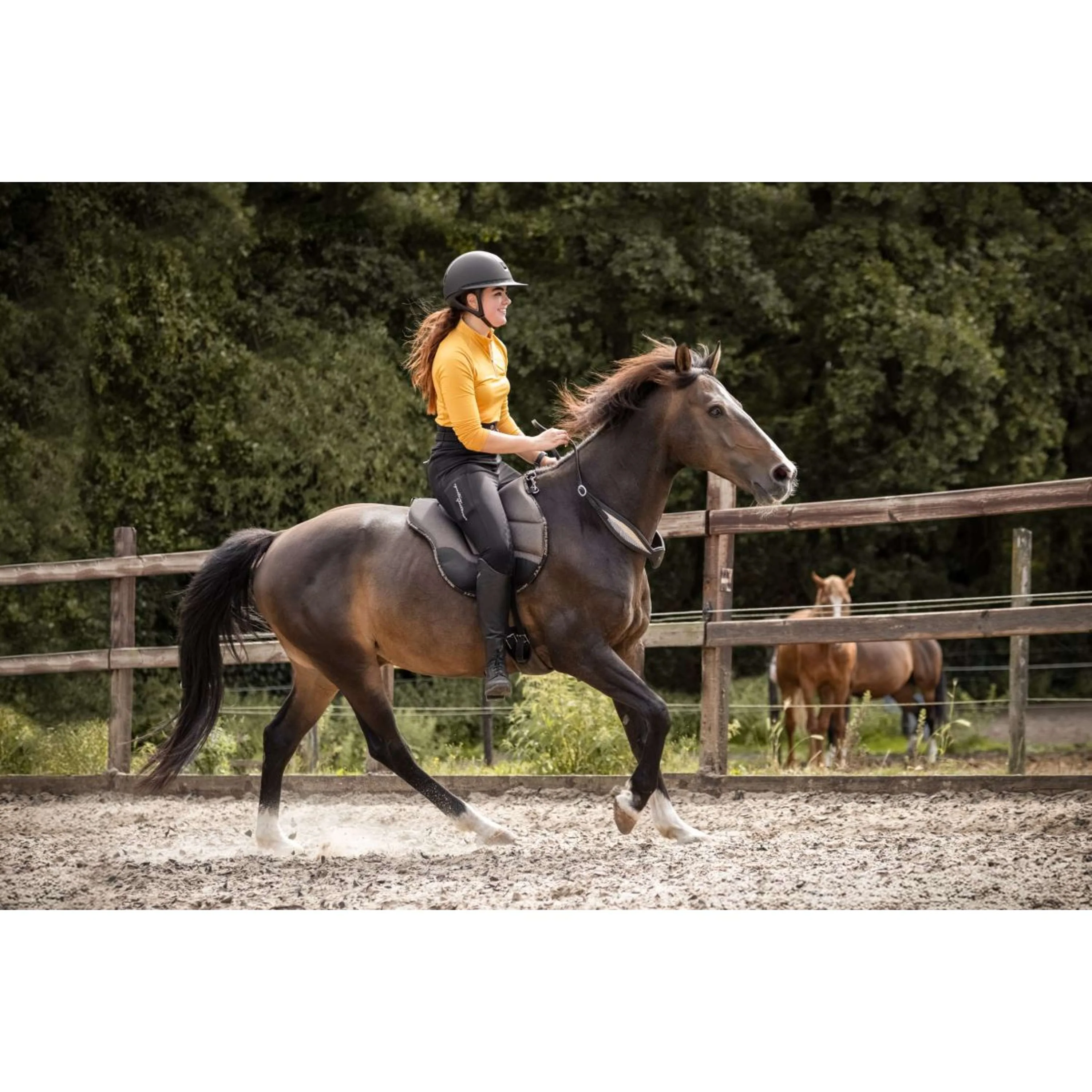 F.R.A. Bareback Pad Dardo Basic Bling Bling - Image 5