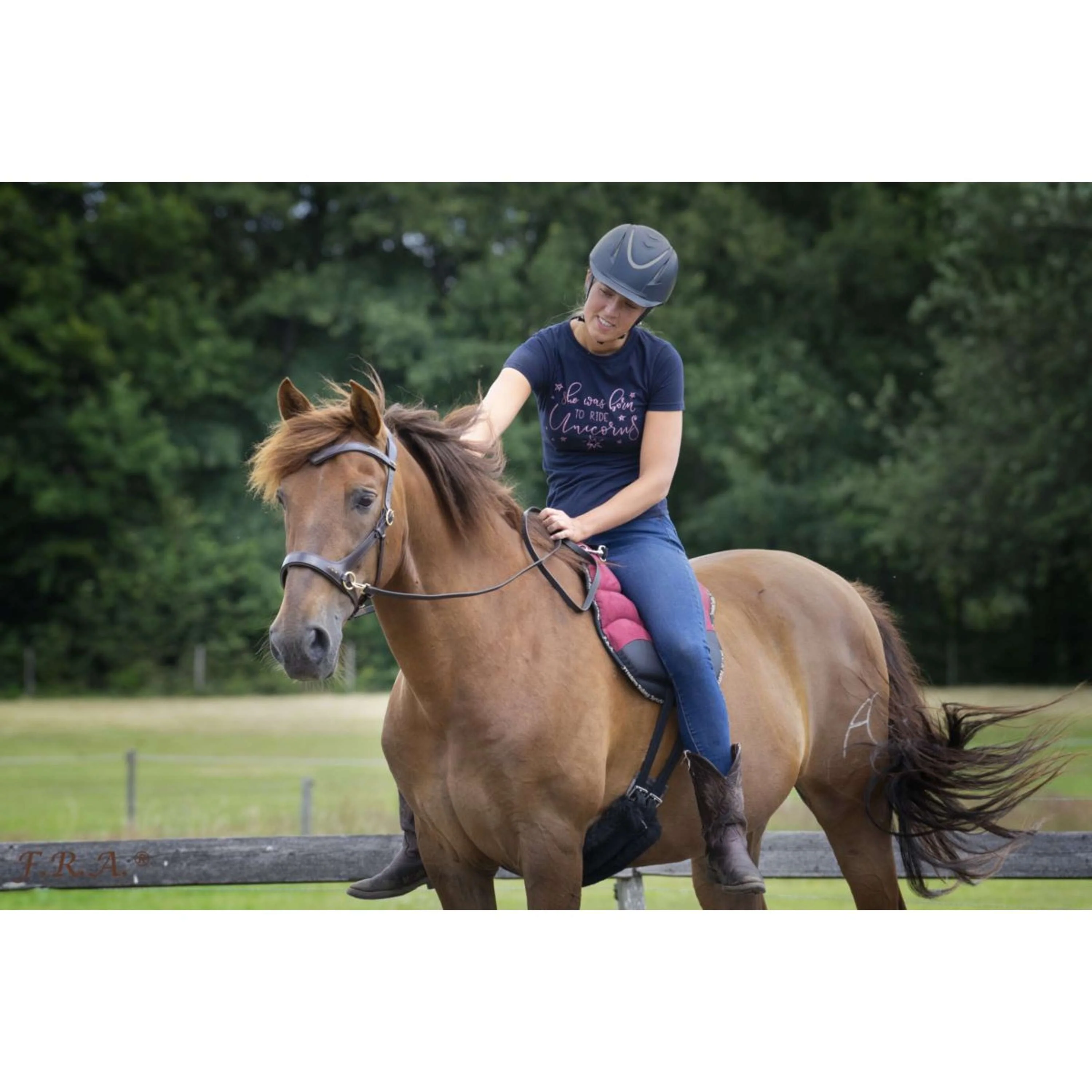 F.R.A. Bareback Pad Dardo Basic Bordeaux - Image 3