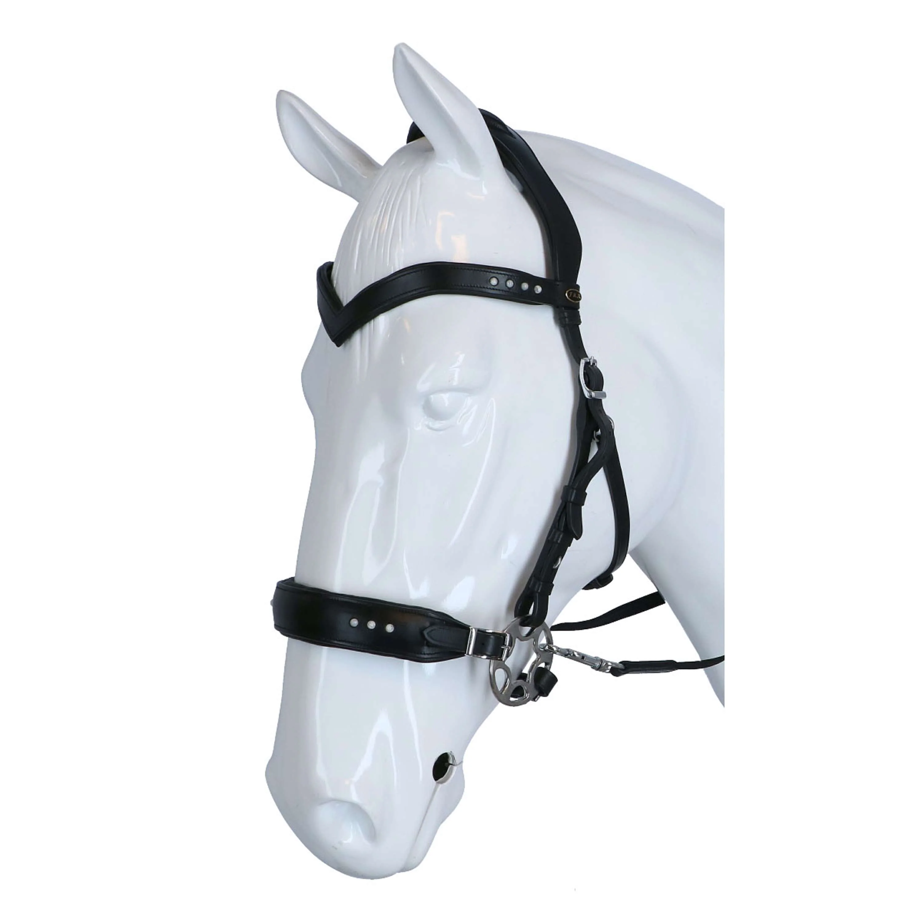 F.R.A. Bridon Glory Hackamore Cuir avec Perles Schwarz - Image 2