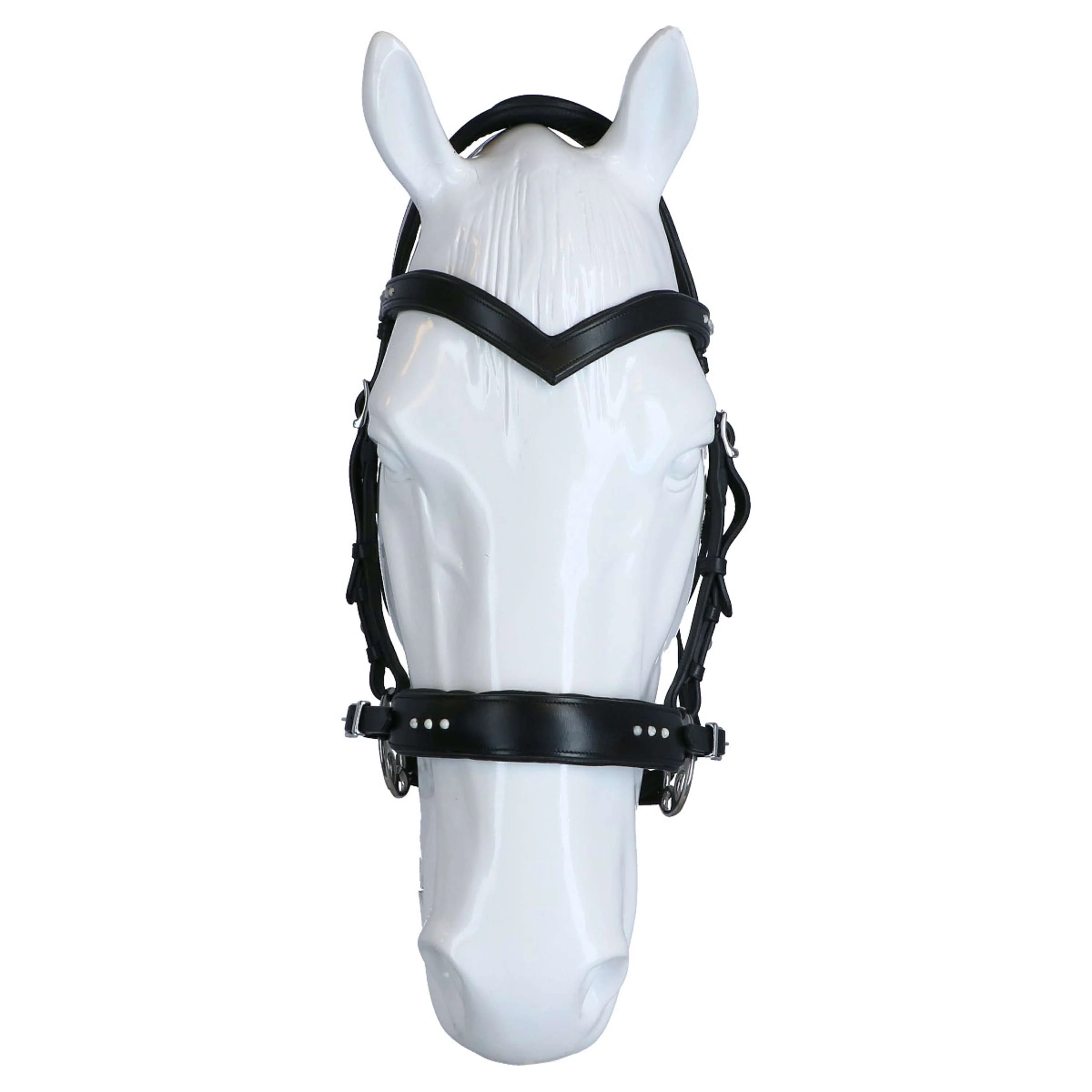 F.R.A. Bridon Glory Hackamore Cuir avec Perles Schwarz - Image 3