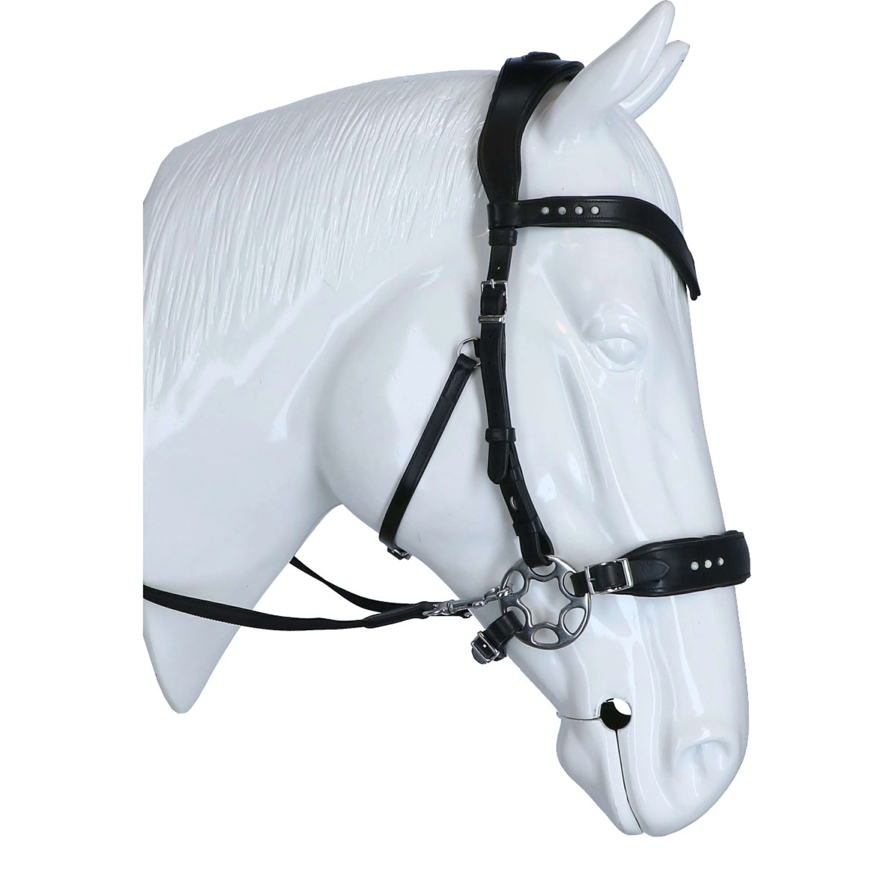 F.R.A. Bridon Glory Hackamore Cuir avec Perles Schwarz - Image 4