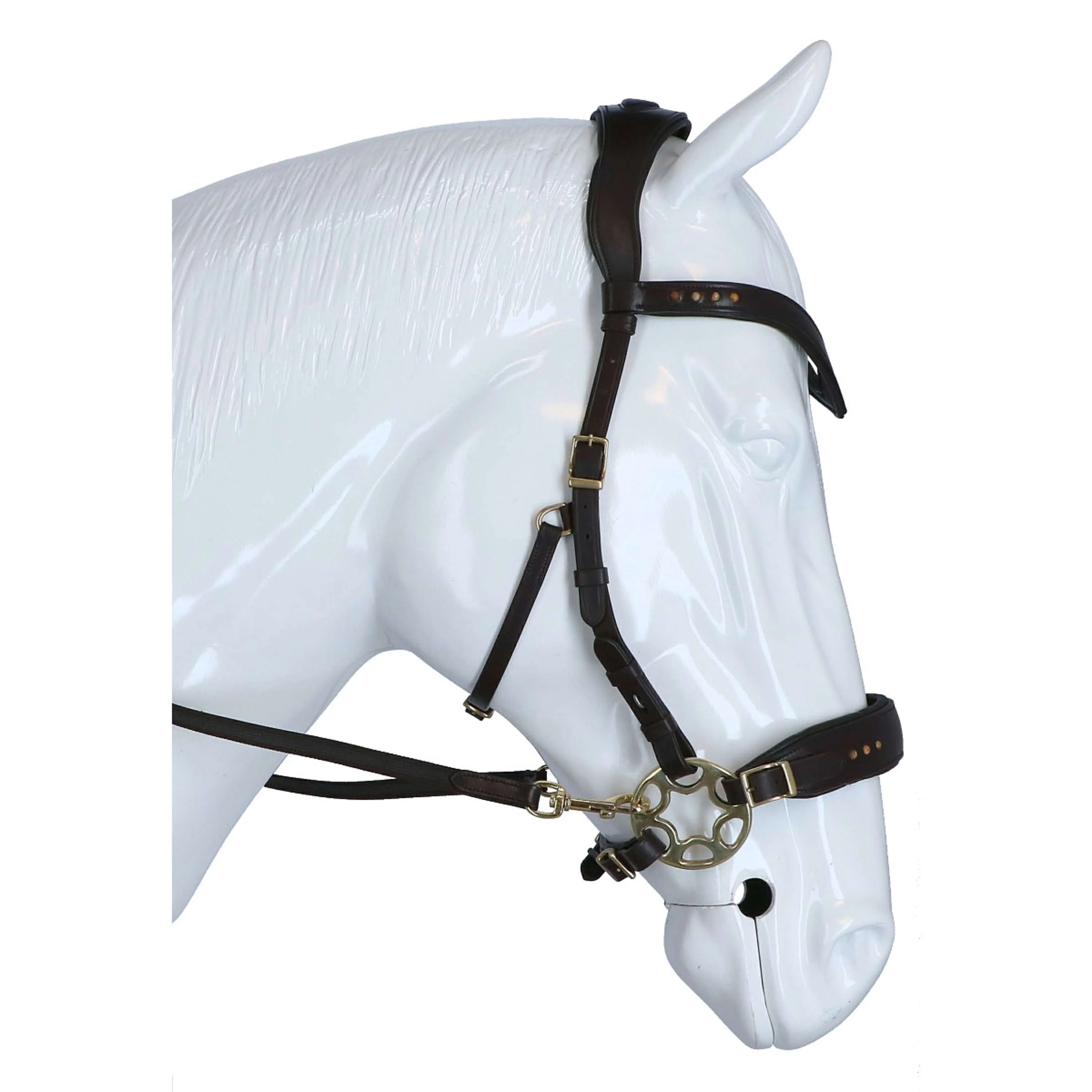 F.R.A. Trense Glory Hackamore Leder mit Perlen Braun - Image 3