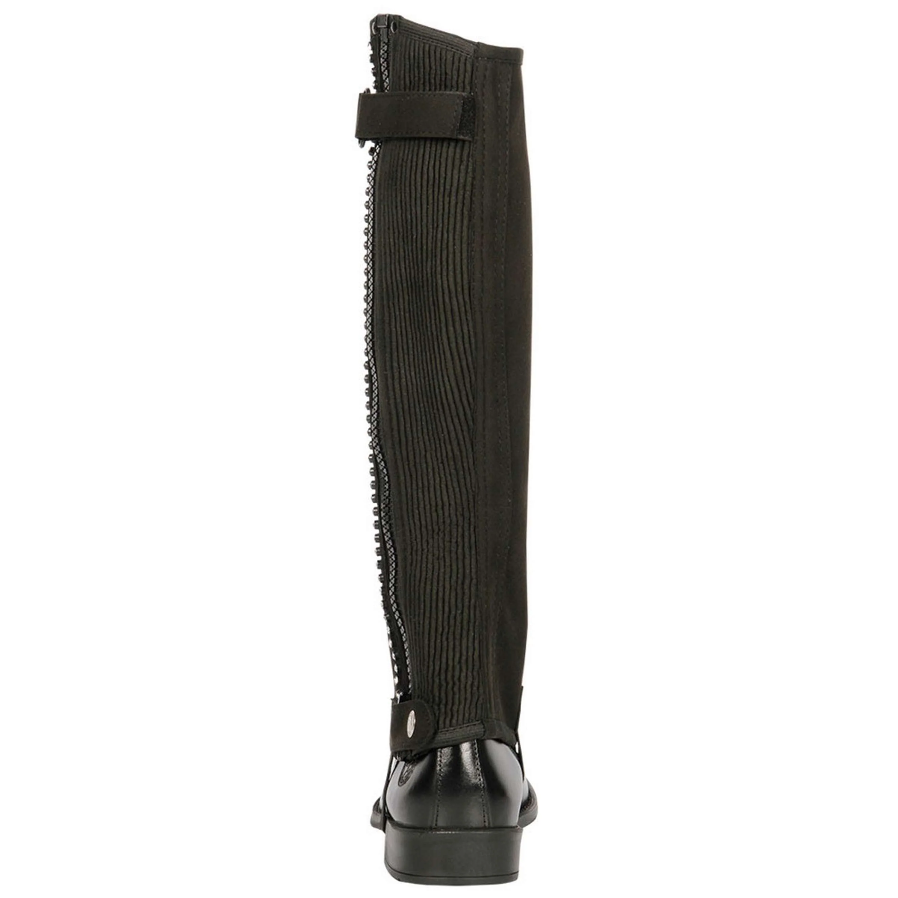 Harry's Horse Chaps Amara Crystal Schwarz - Image 2