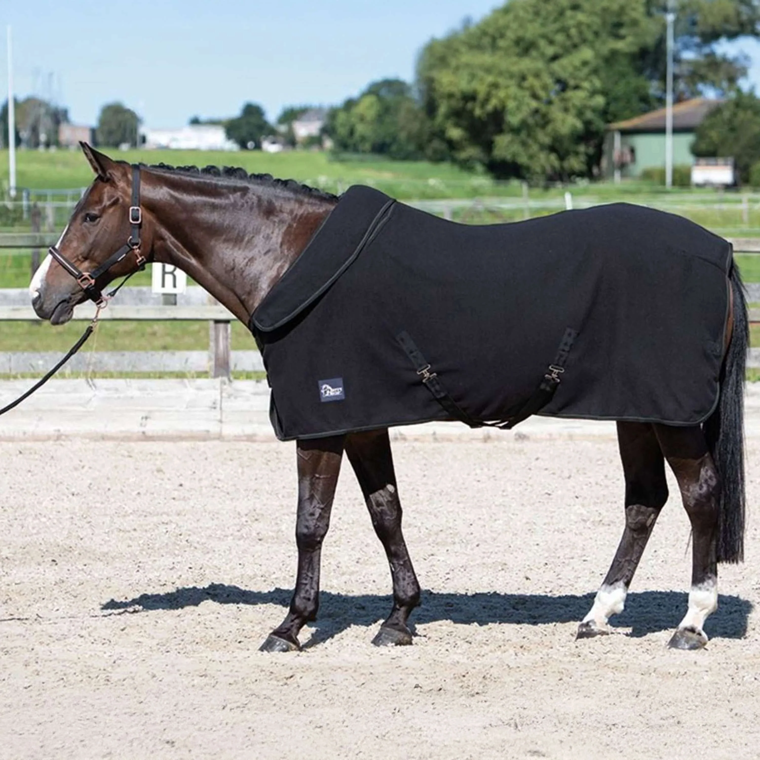 Harry's Horse Fleecedecke mit Aufrollbarem Hals Schwarz - Image 2