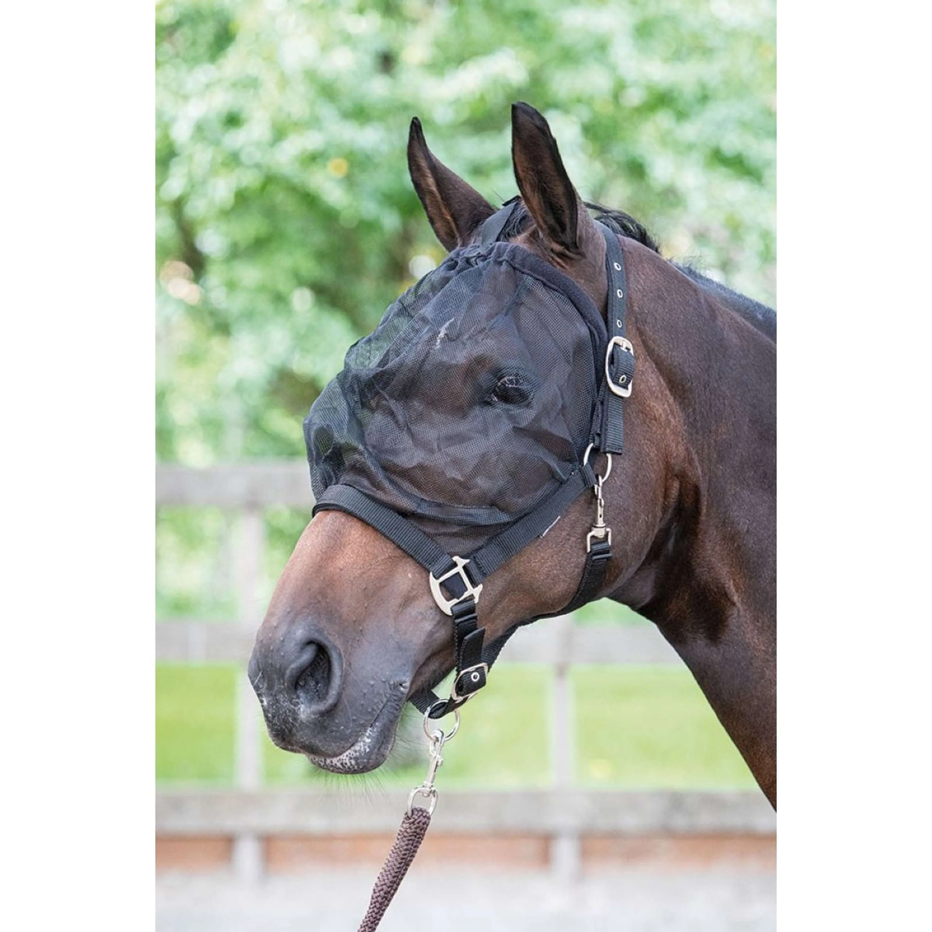 Harry's Horse Fliegenmaske Halfter - Image 2