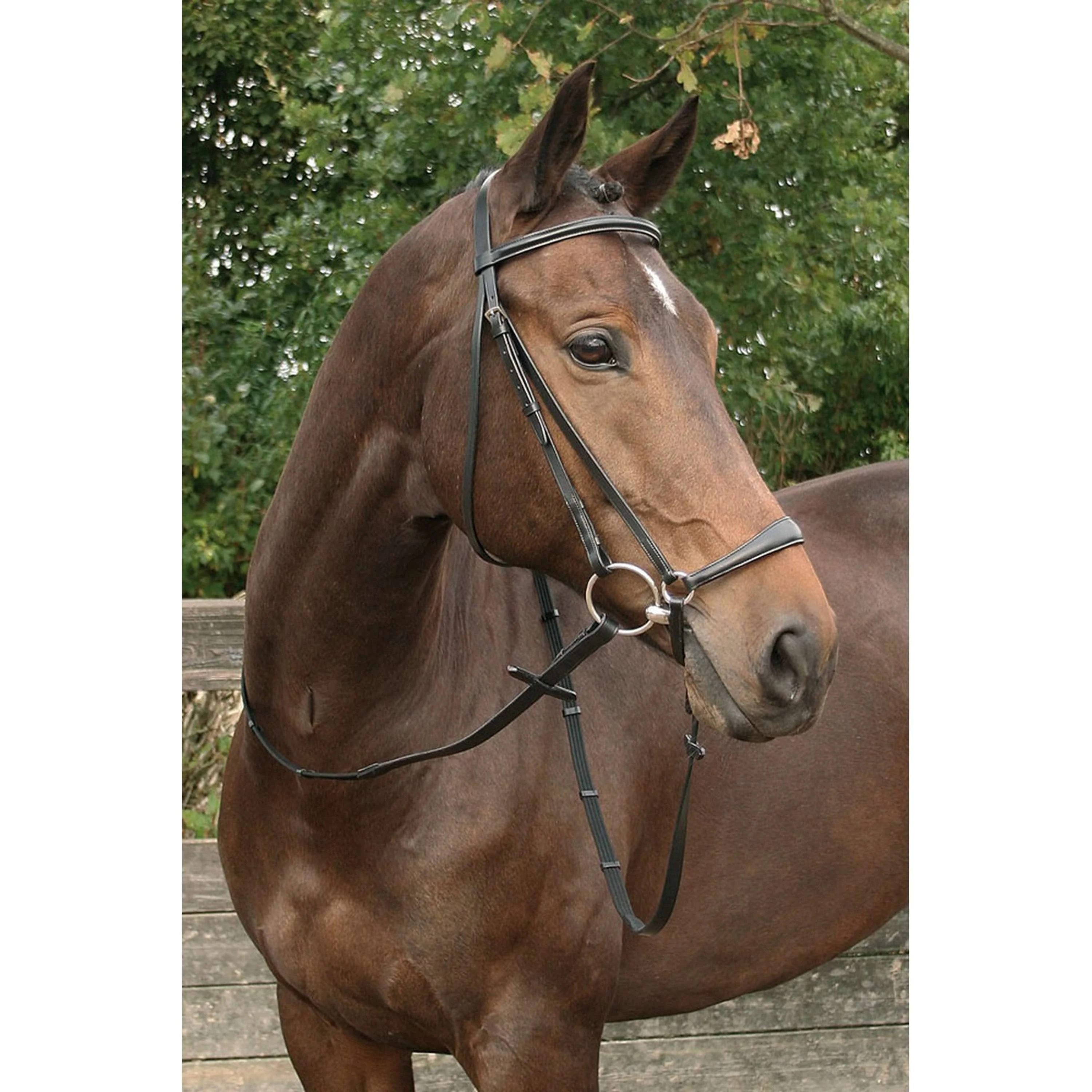 Harry's Horse Hannoversches Reithalfter Schwarz - Image 2
