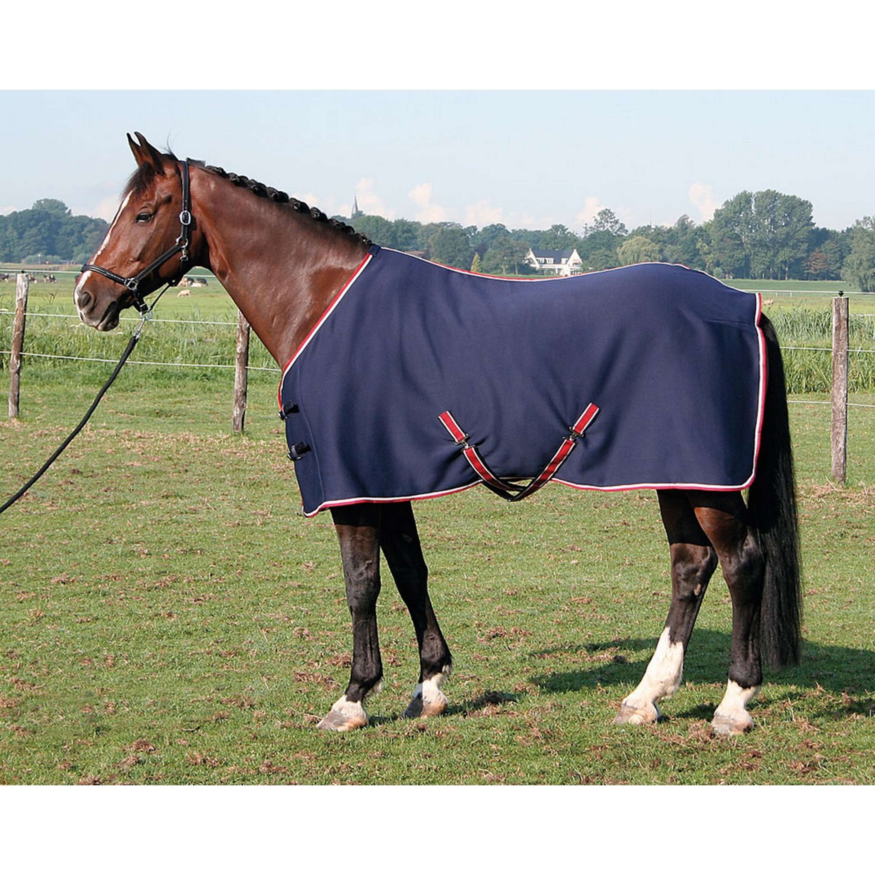 Harry's Horse Jersey cooler Decke Navy - Image 7