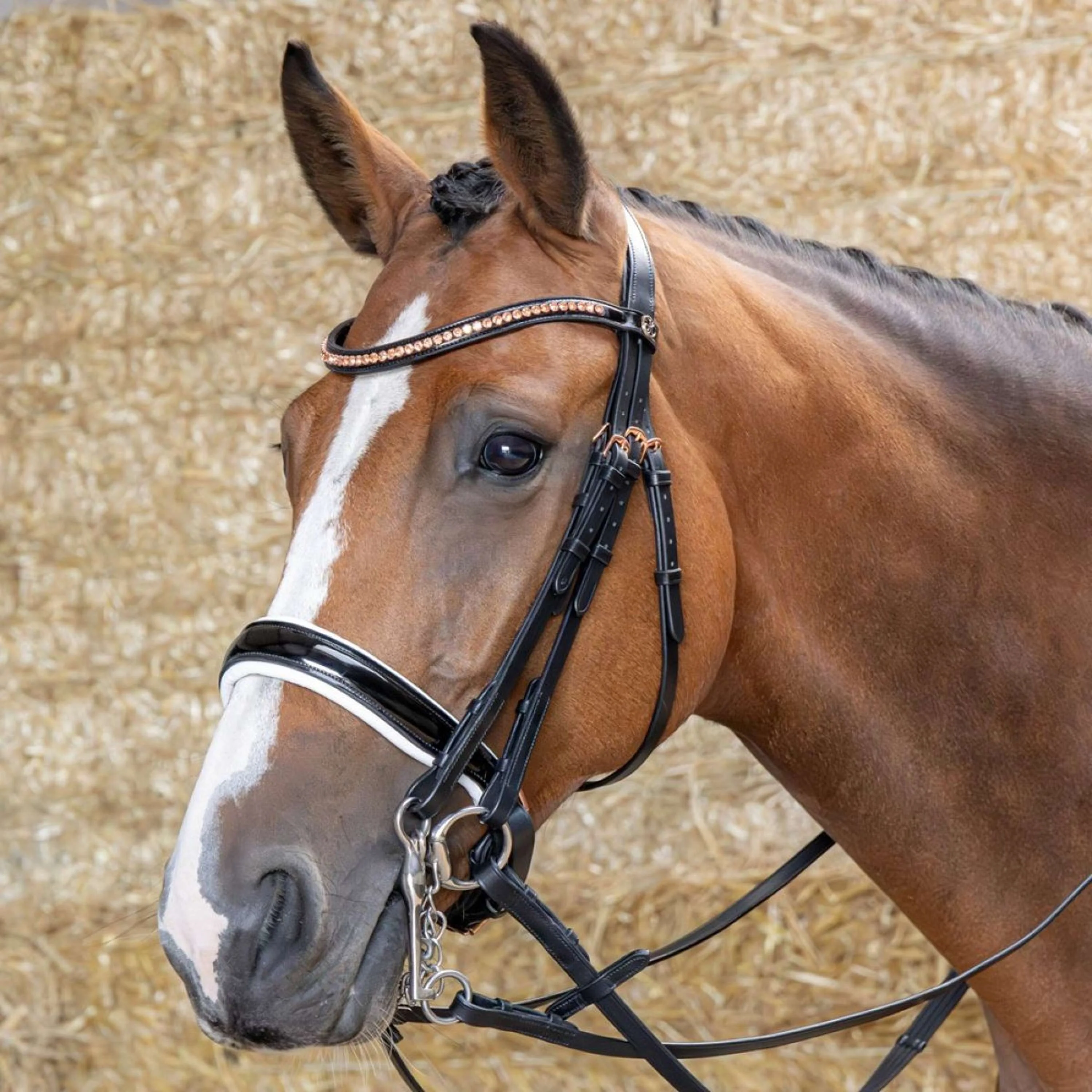 Harry's Horse Kandarenzaum Soft Rosegold Schwarz