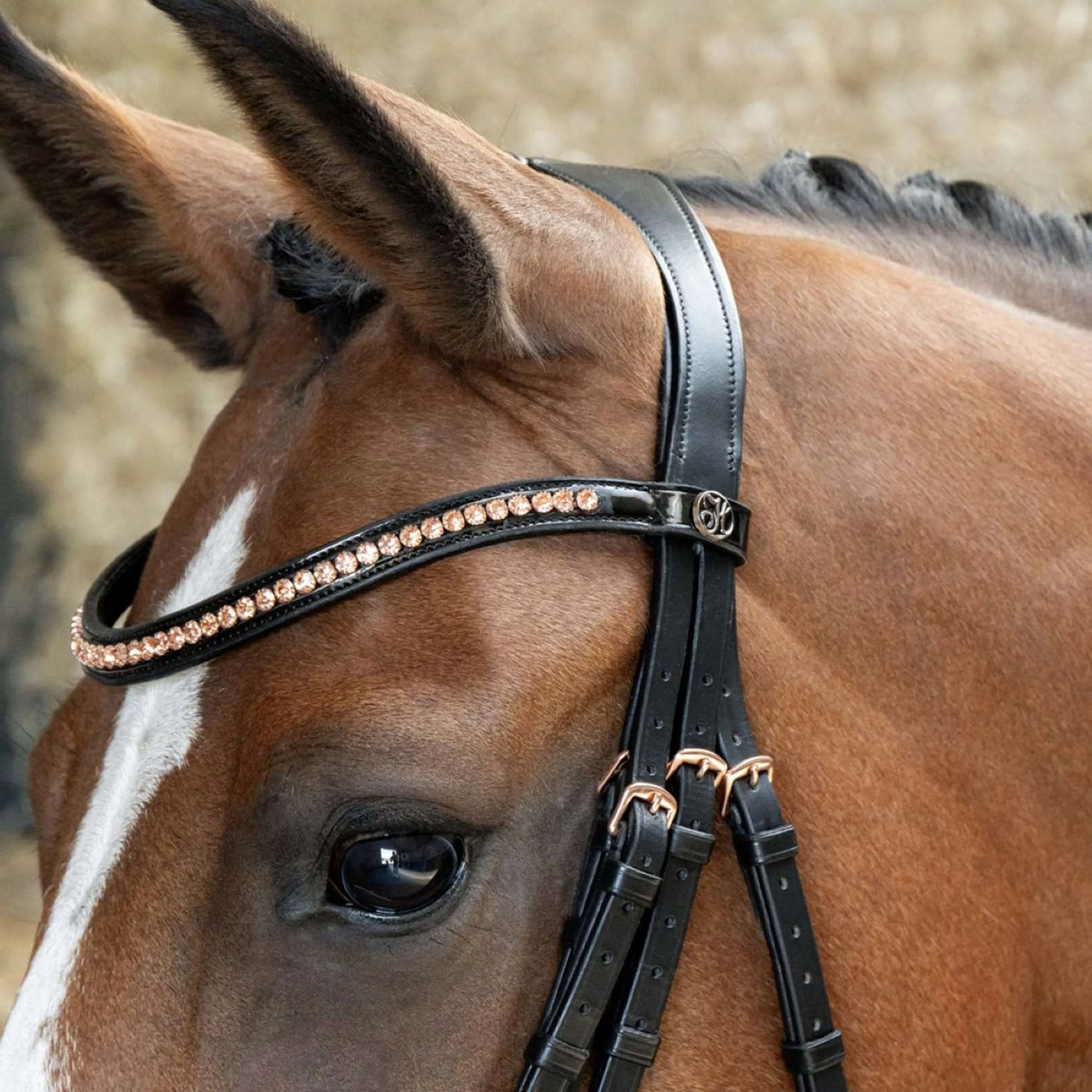 Harry's Horse Kandarenzaum Soft Rosegold Schwarz - Image 3