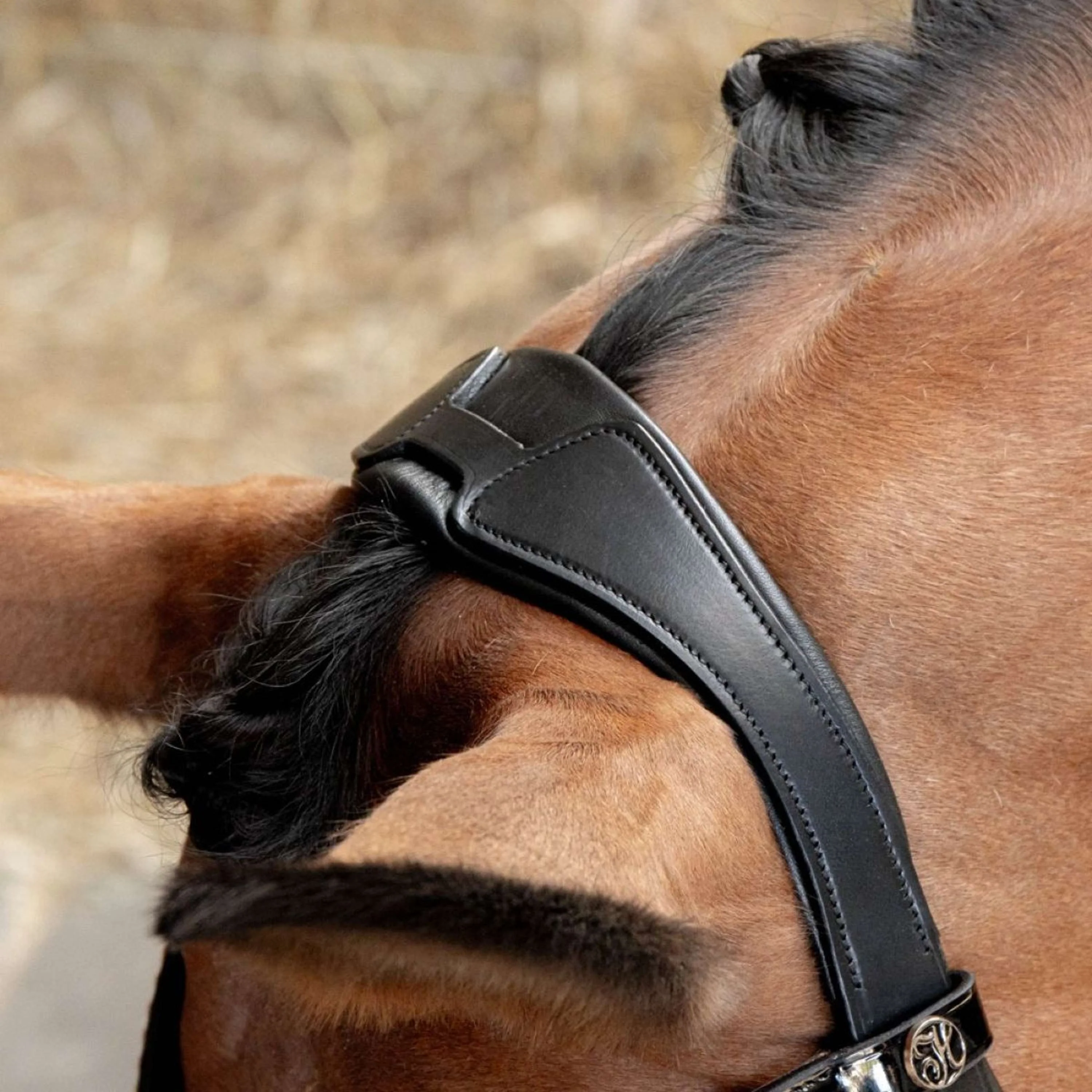 Harry's Horse Kandarenzaum Soft Rosegold Schwarz - Image 4