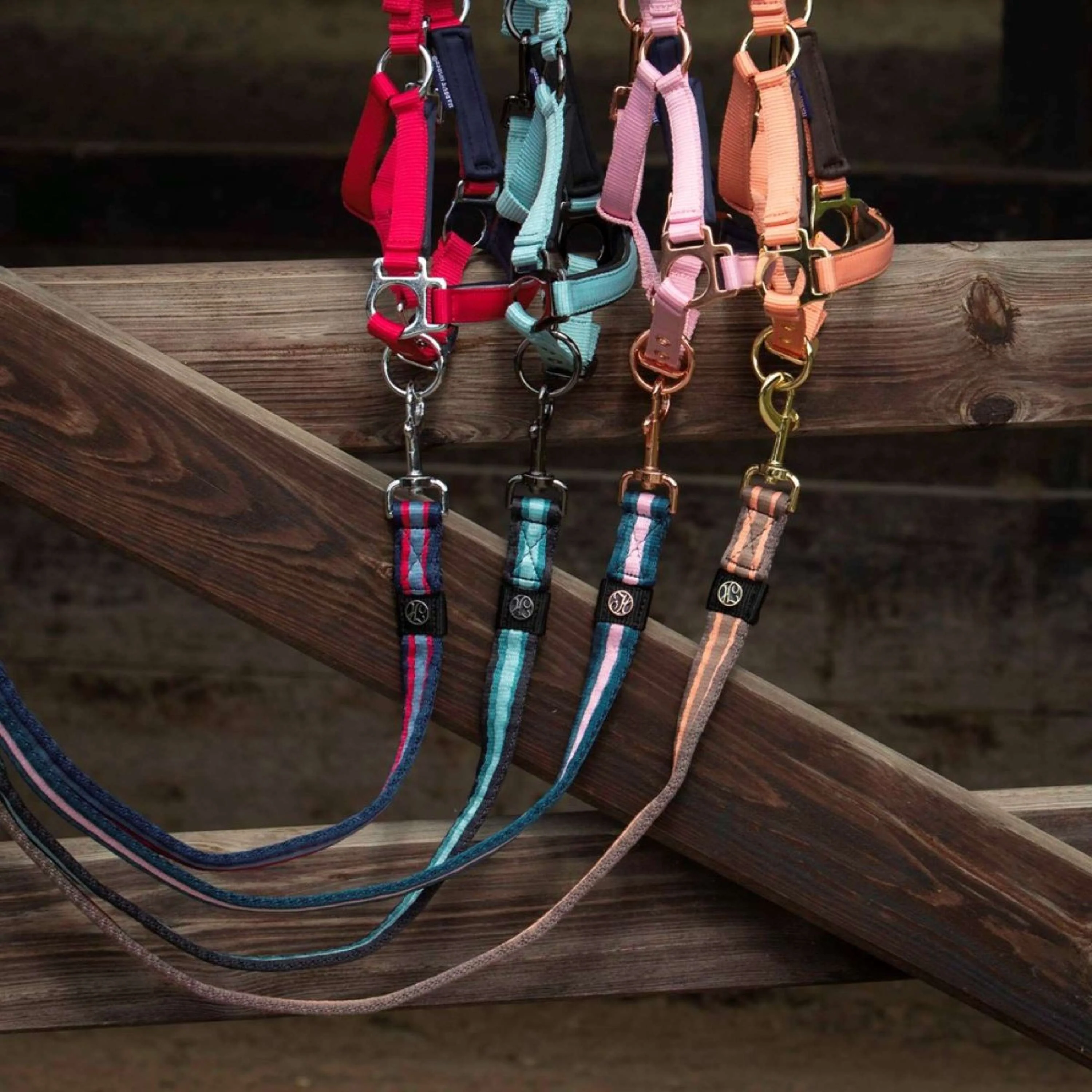 Harry's Horse Leine Soft Coffee Quartz - Image 2