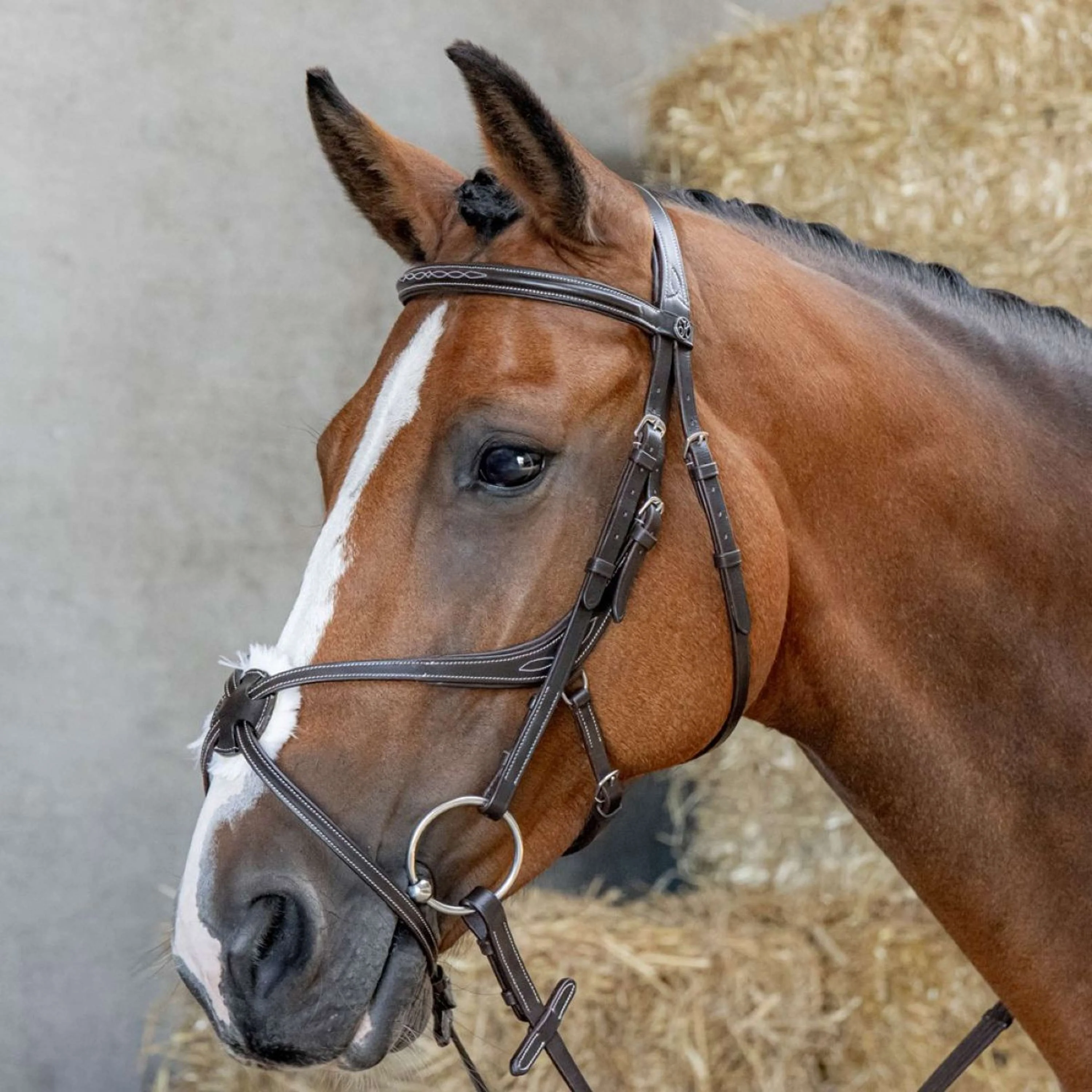 Harry's Horse Mexikanische Trense Anatomic Braun