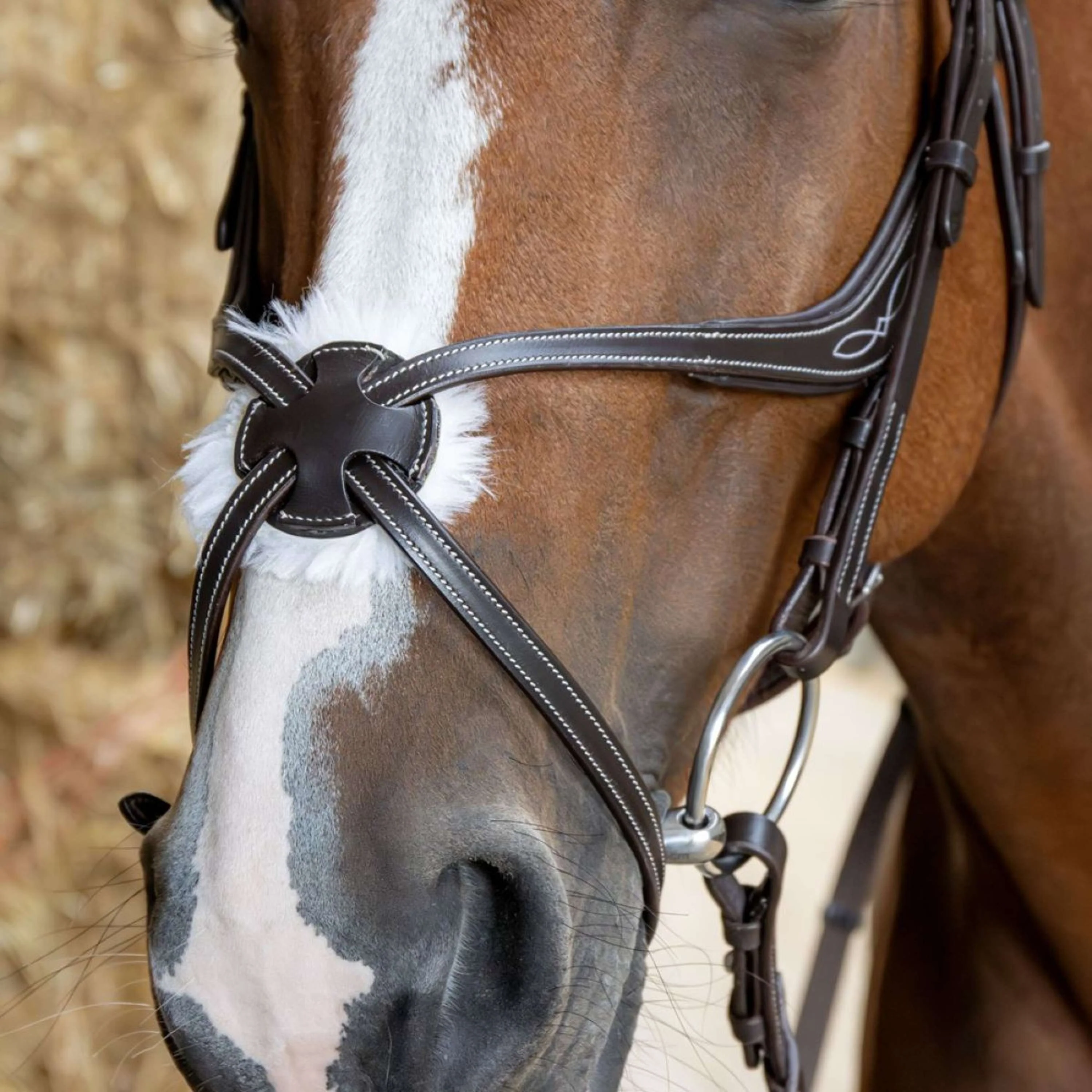 Harry's Horse Mexikanische Trense Anatomic Braun - Image 2