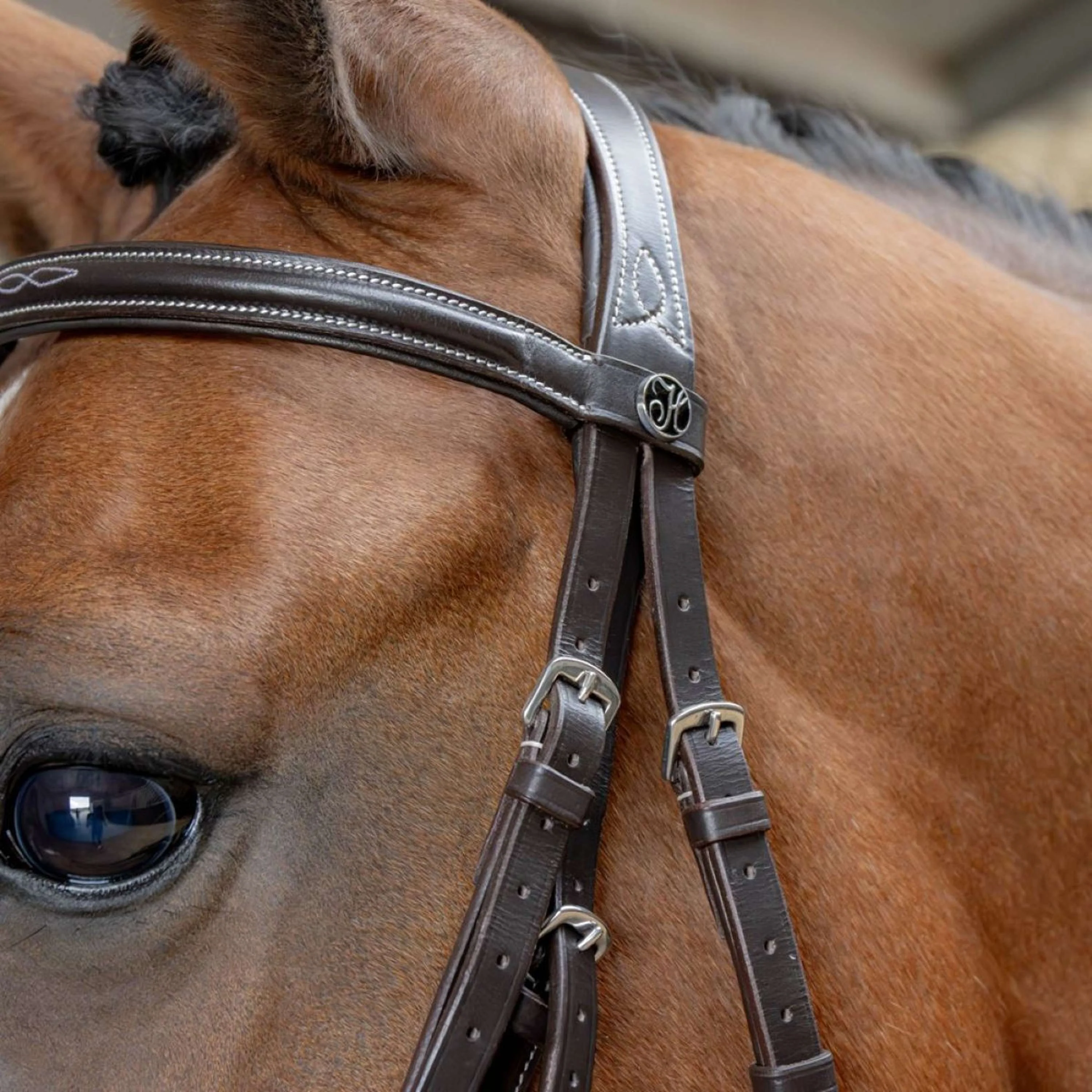 Harry's Horse Mexikanische Trense Anatomic Braun - Image 3
