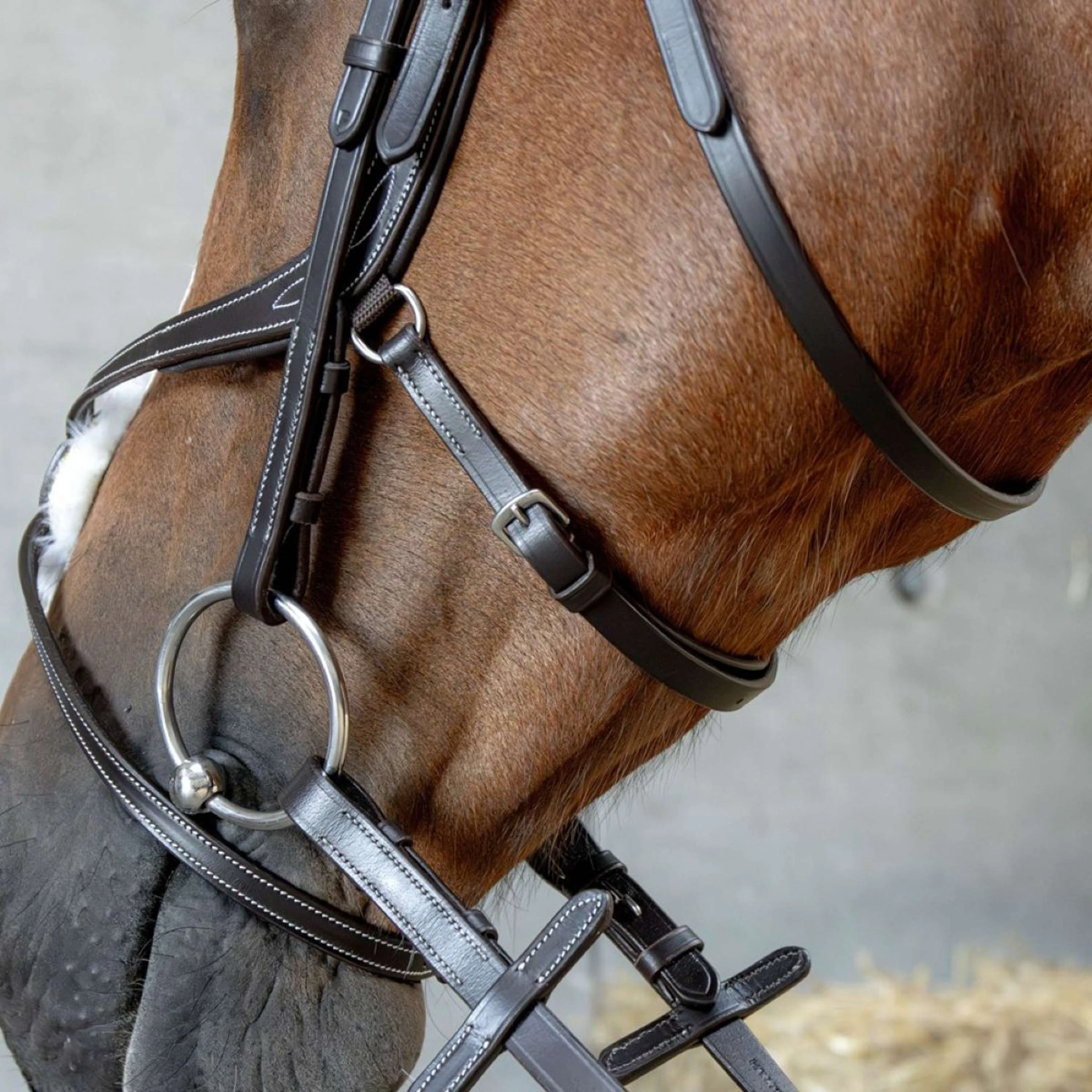 Harry's Horse Mexikanische Trense Anatomic Braun - Image 4