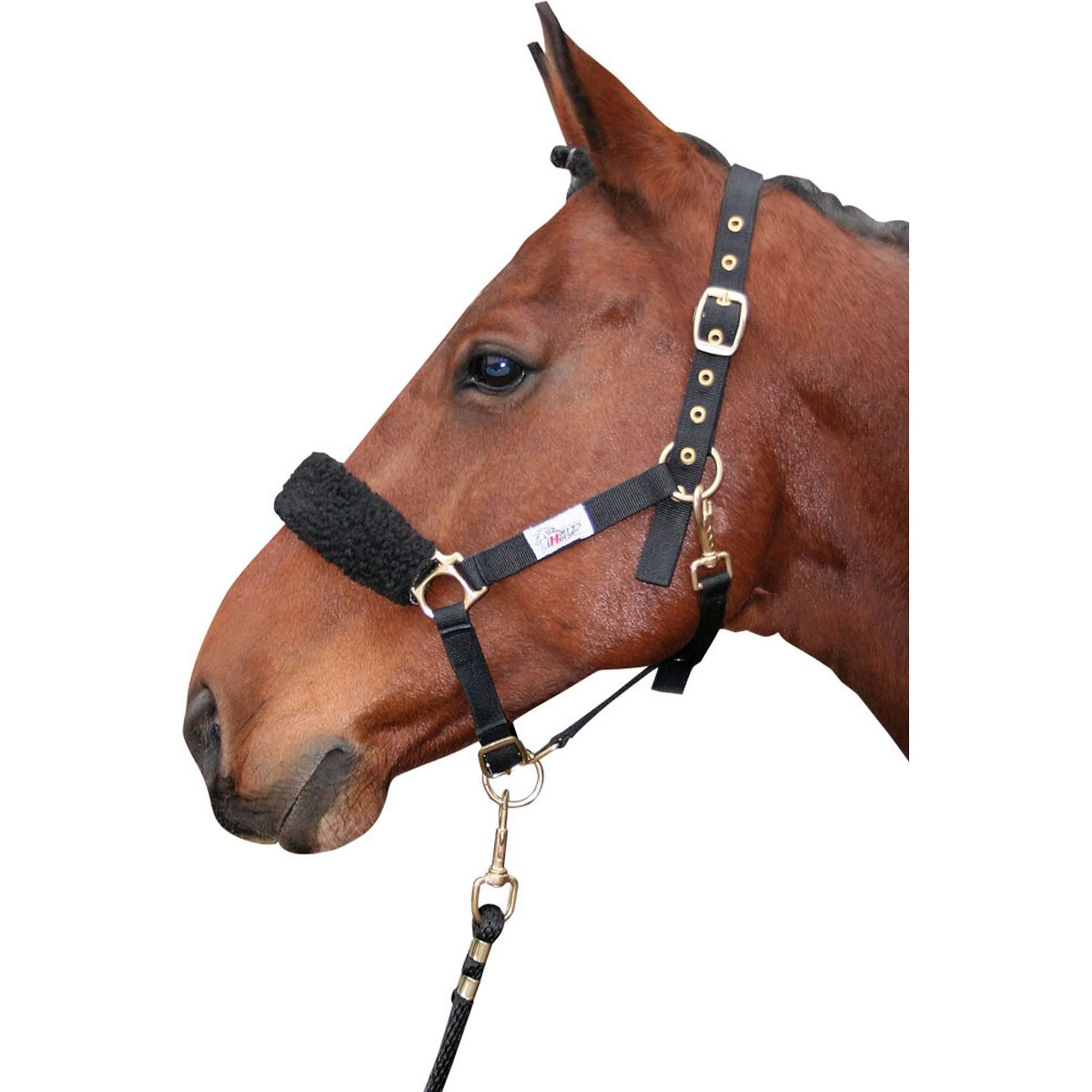 Harry's Horse Nasenschutz Synthetisch Schwarz - Image 2