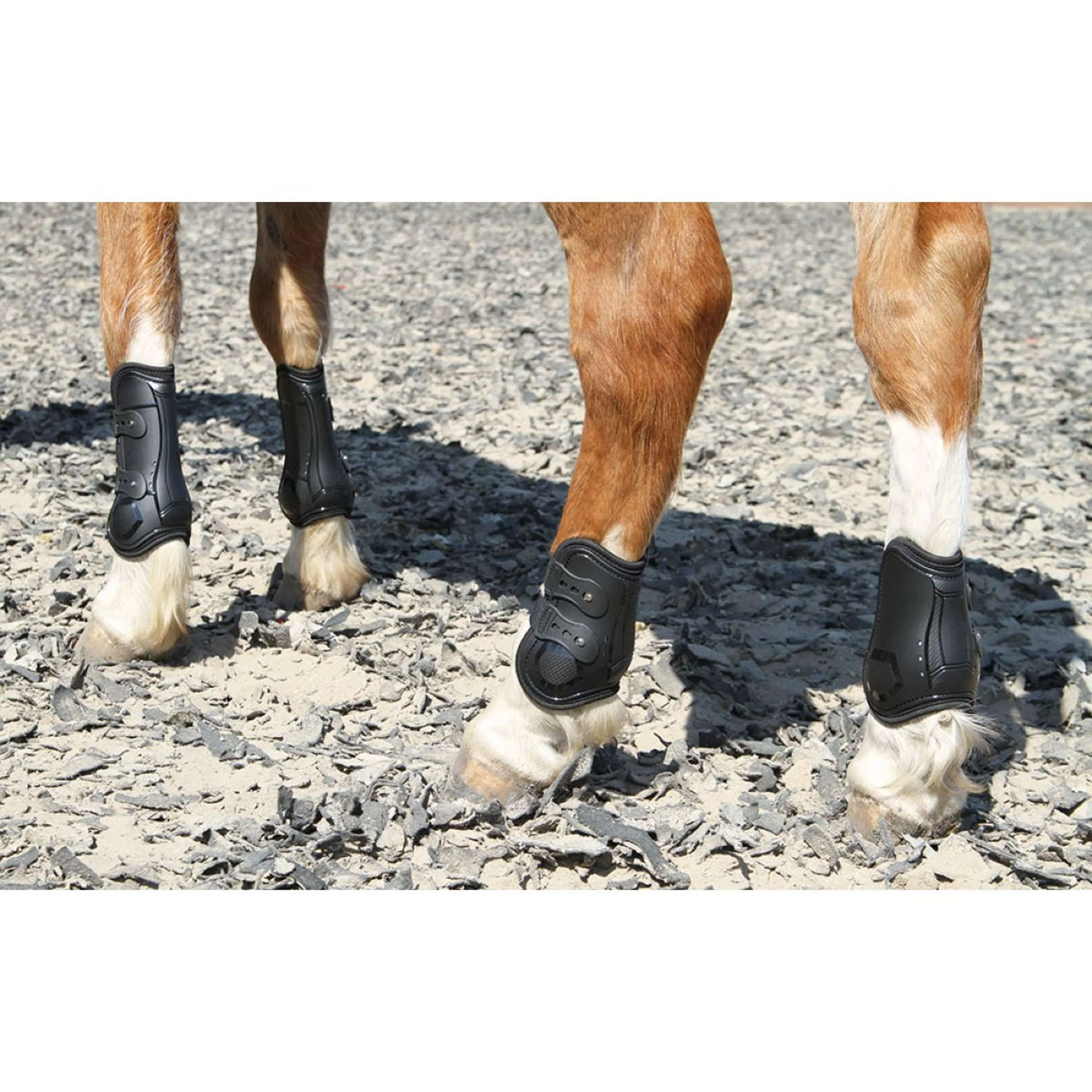 Harry's Horse Sehnenschutz Percy Air Schwarz - Image 3