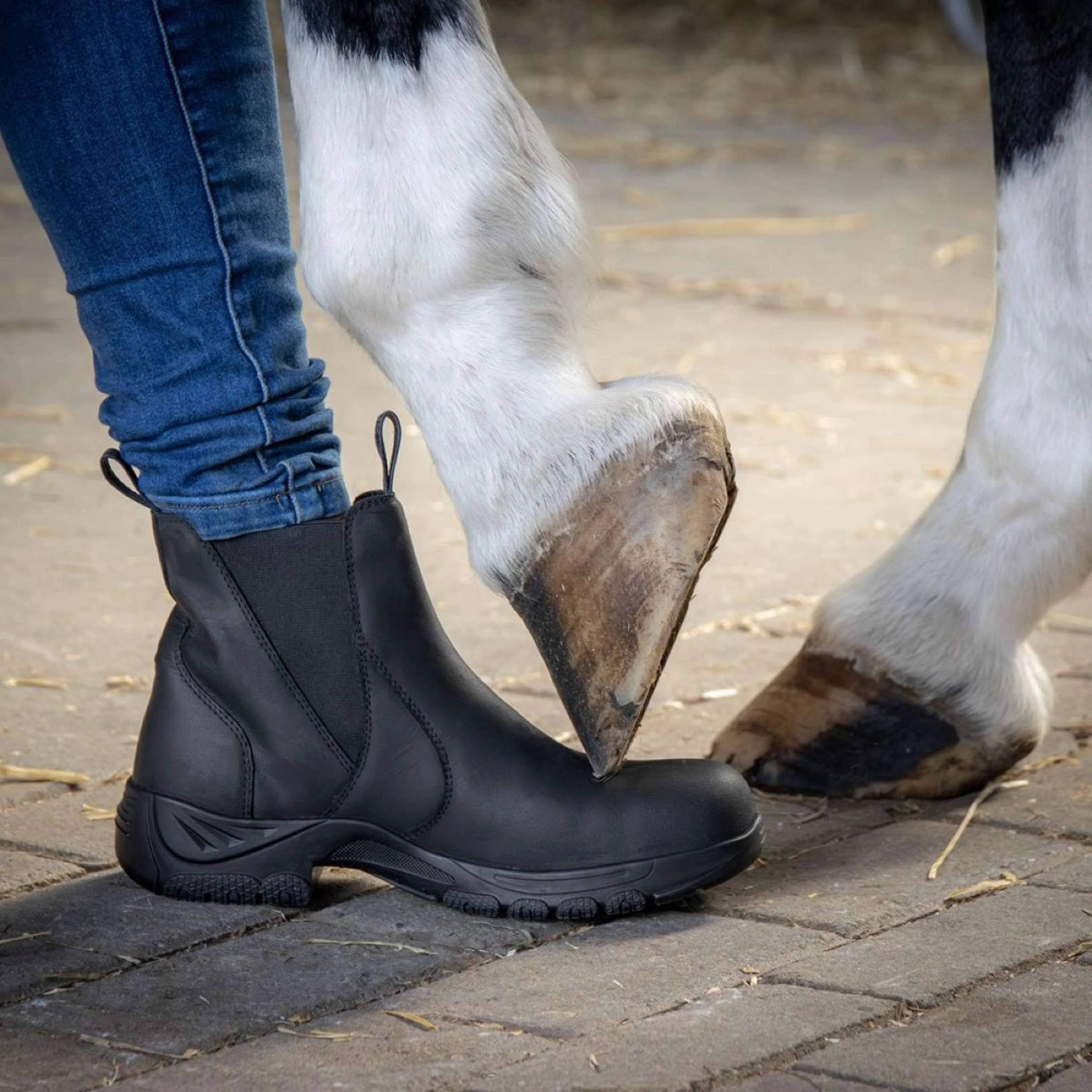Harry's Horse Stallschuhe Leder Safety Steel Toe Schwarz - Image 3