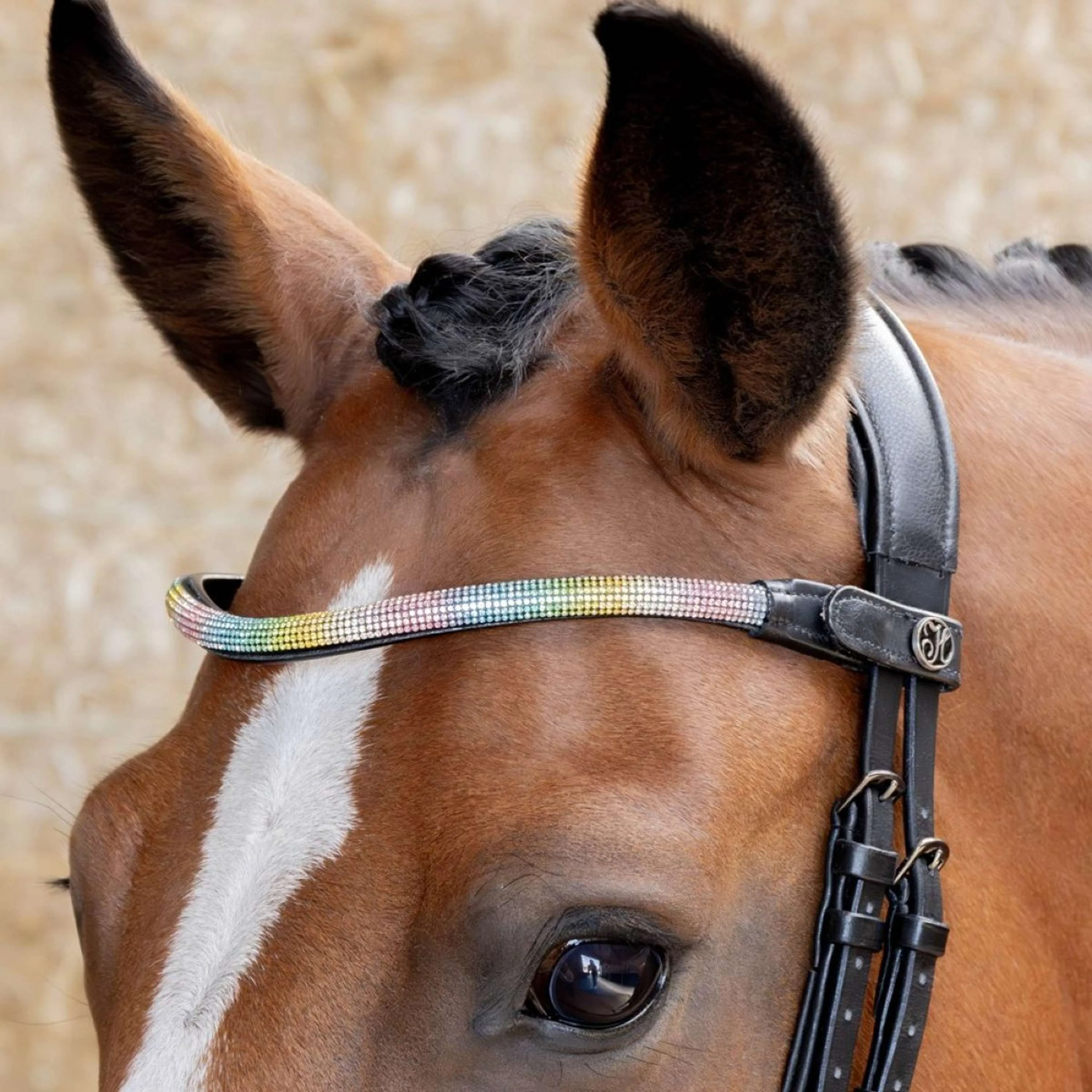 Harry's Horse Stirnriemen Rainbow Regenbogen - Image 2