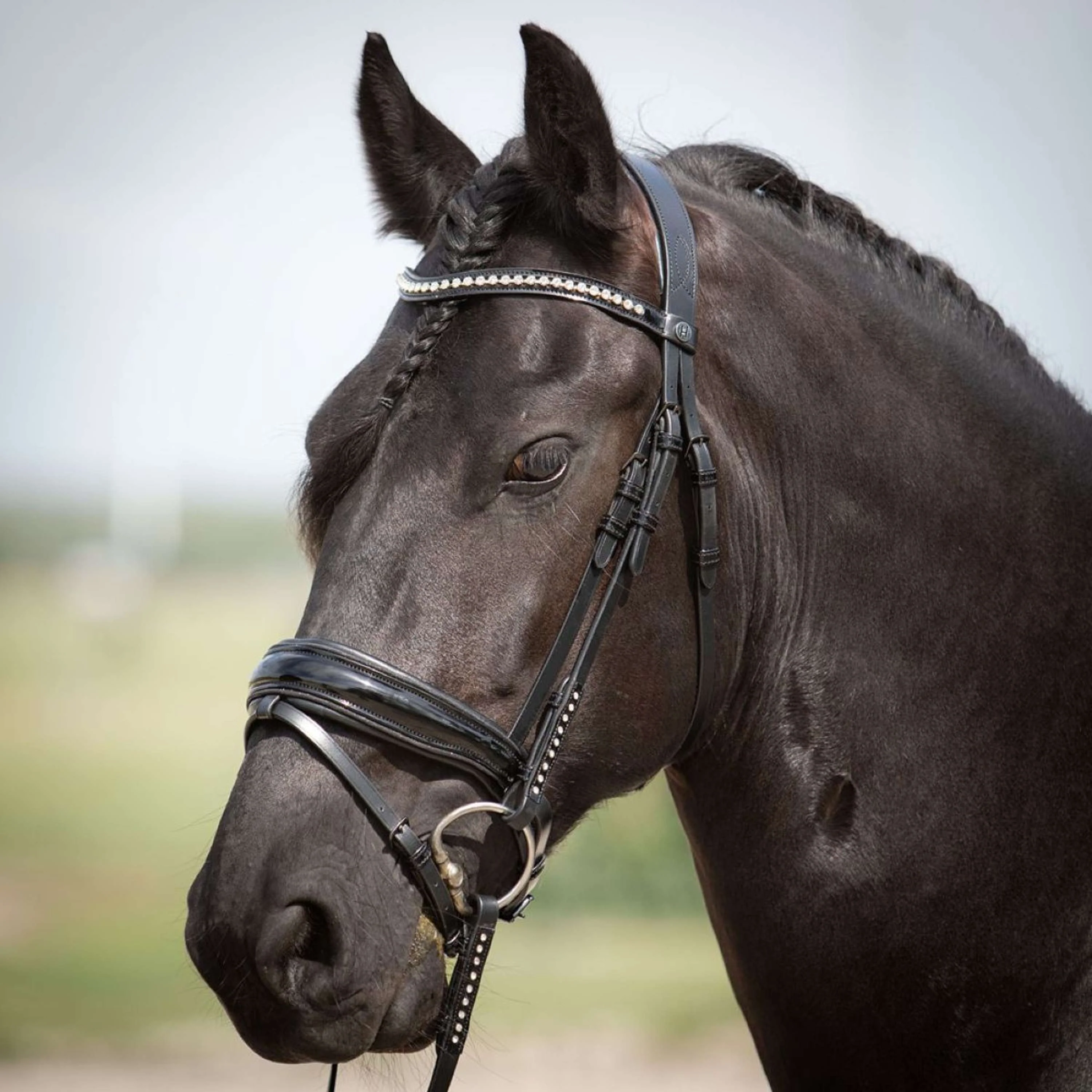 Harry's Horse Trensenzaum Diamond Lacque Schwarz - Image 3