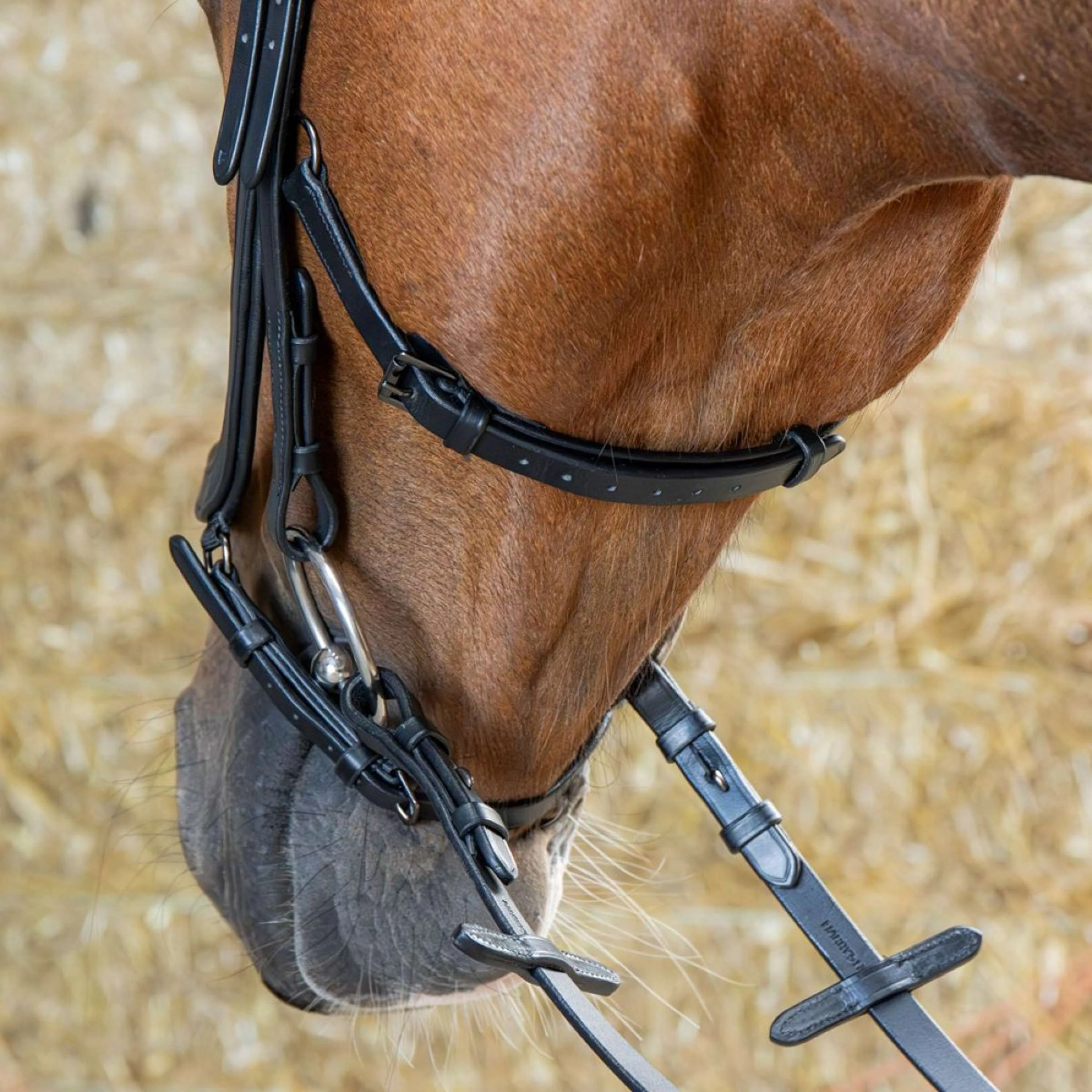 Harry's Horse Zaum Anatomic Black Crystal Schwarz - Image 4
