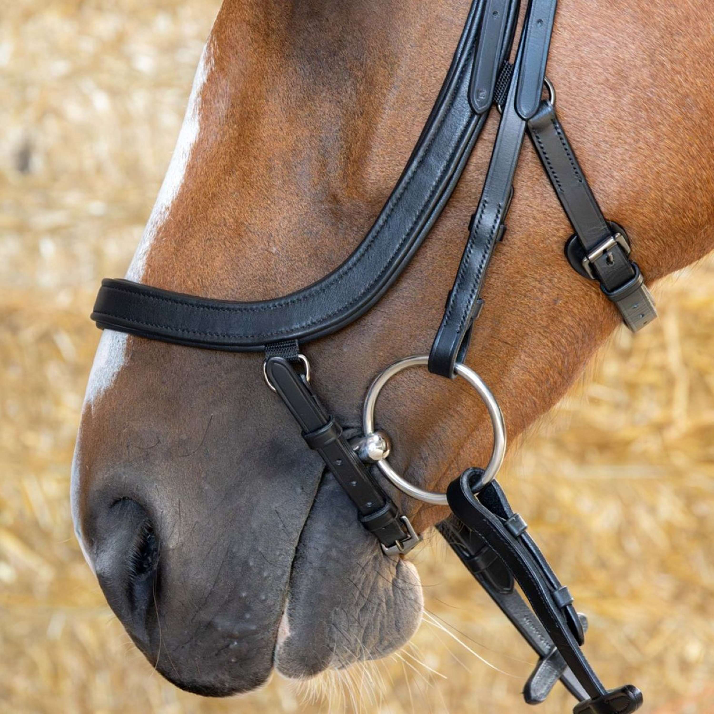 Harry's Horse Zaum Anatomic Black Crystal Schwarz - Image 5