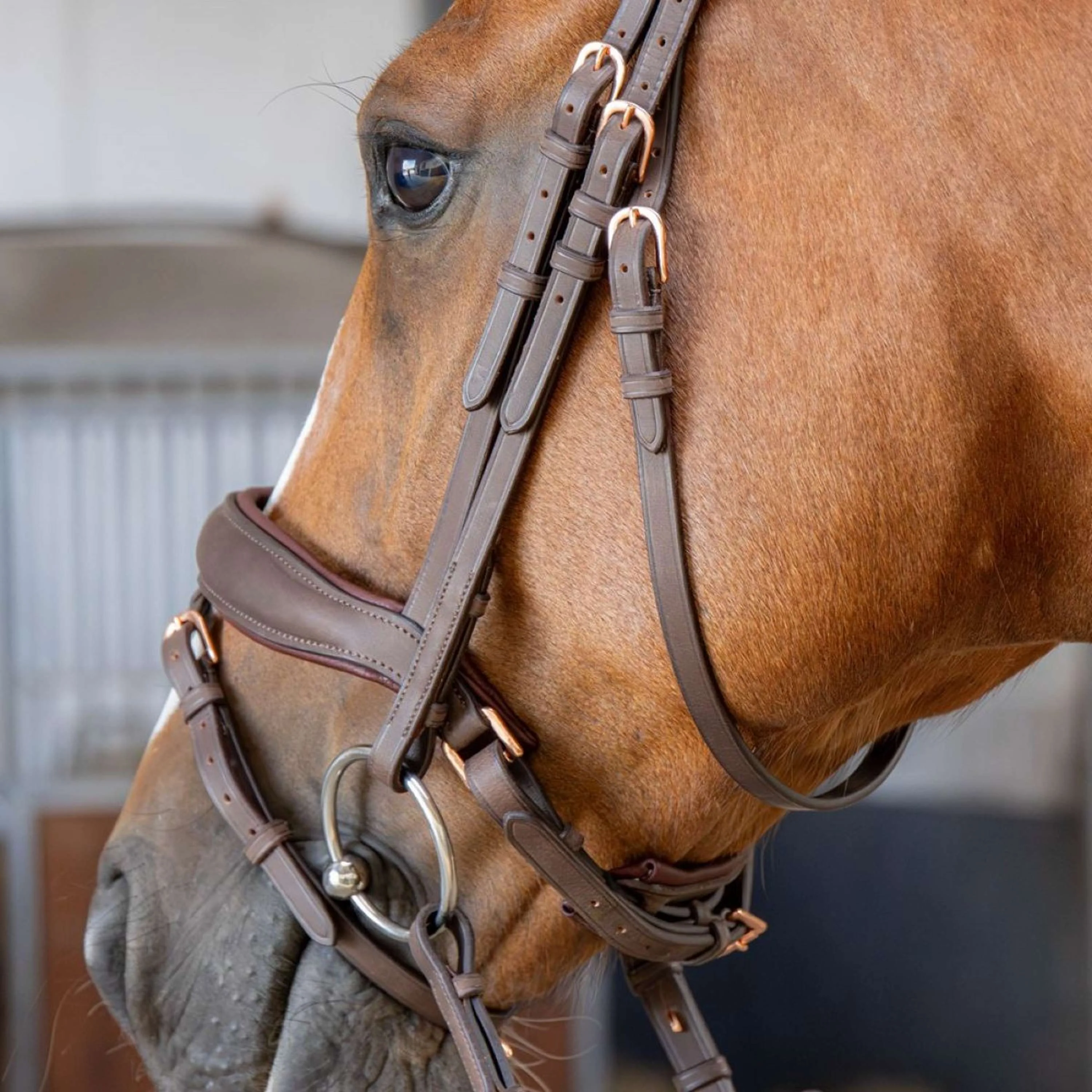 Harry's Horse Zaum Bombastic Crystals Braun - Image 3