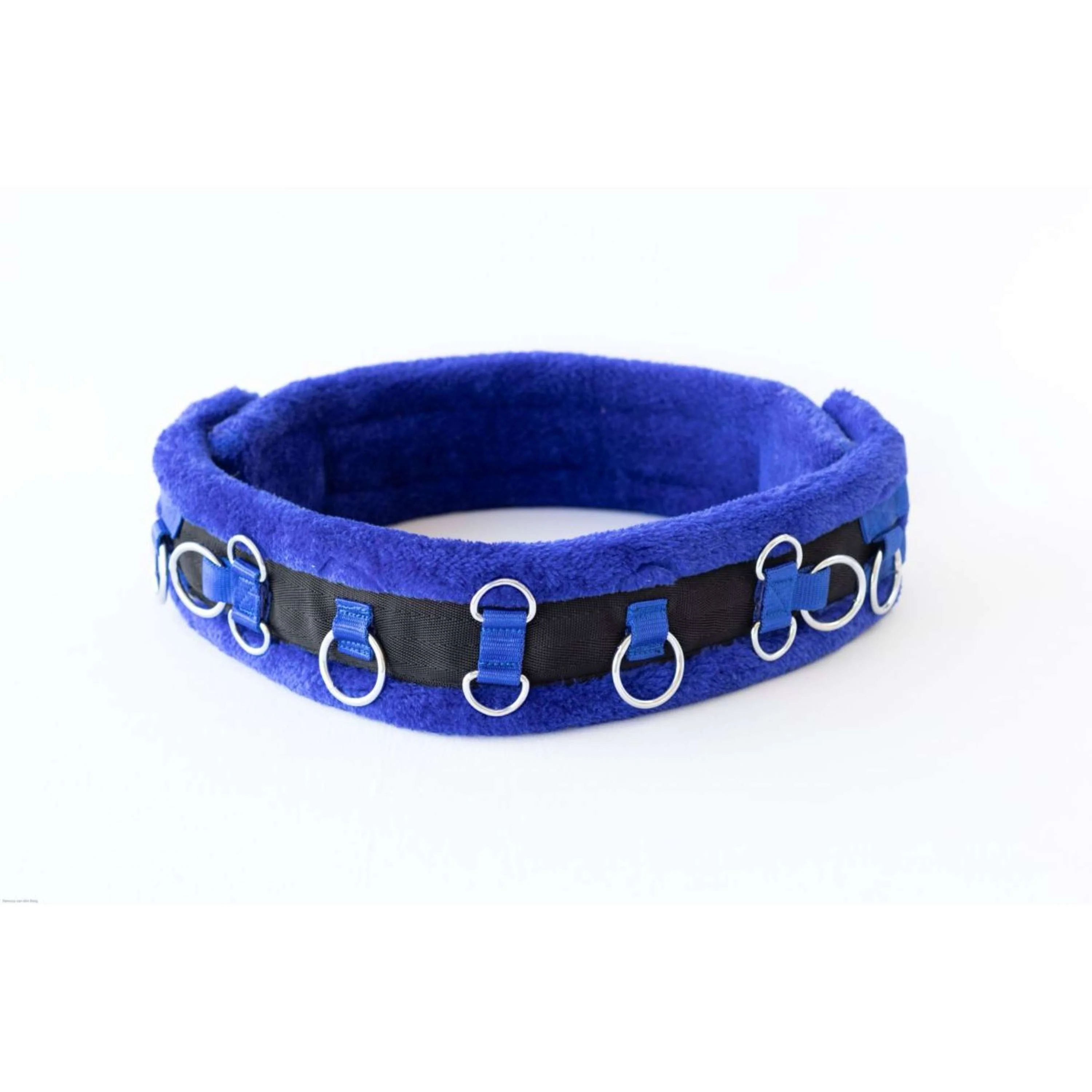 HB Longiergurt Little Sizes Bunt Royal Blue - Image 2