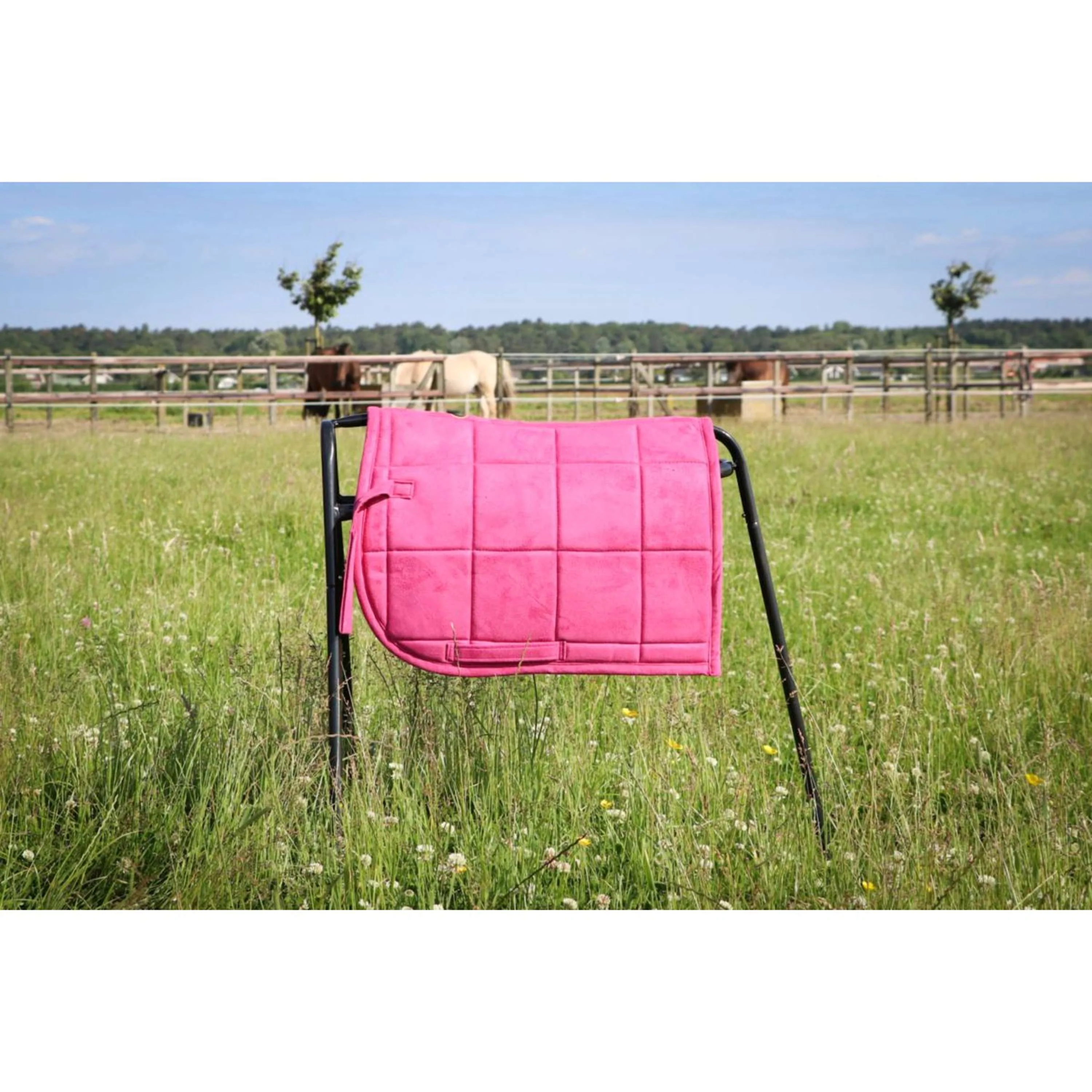 HB Schabracke Shetland Rosa - Image 2
