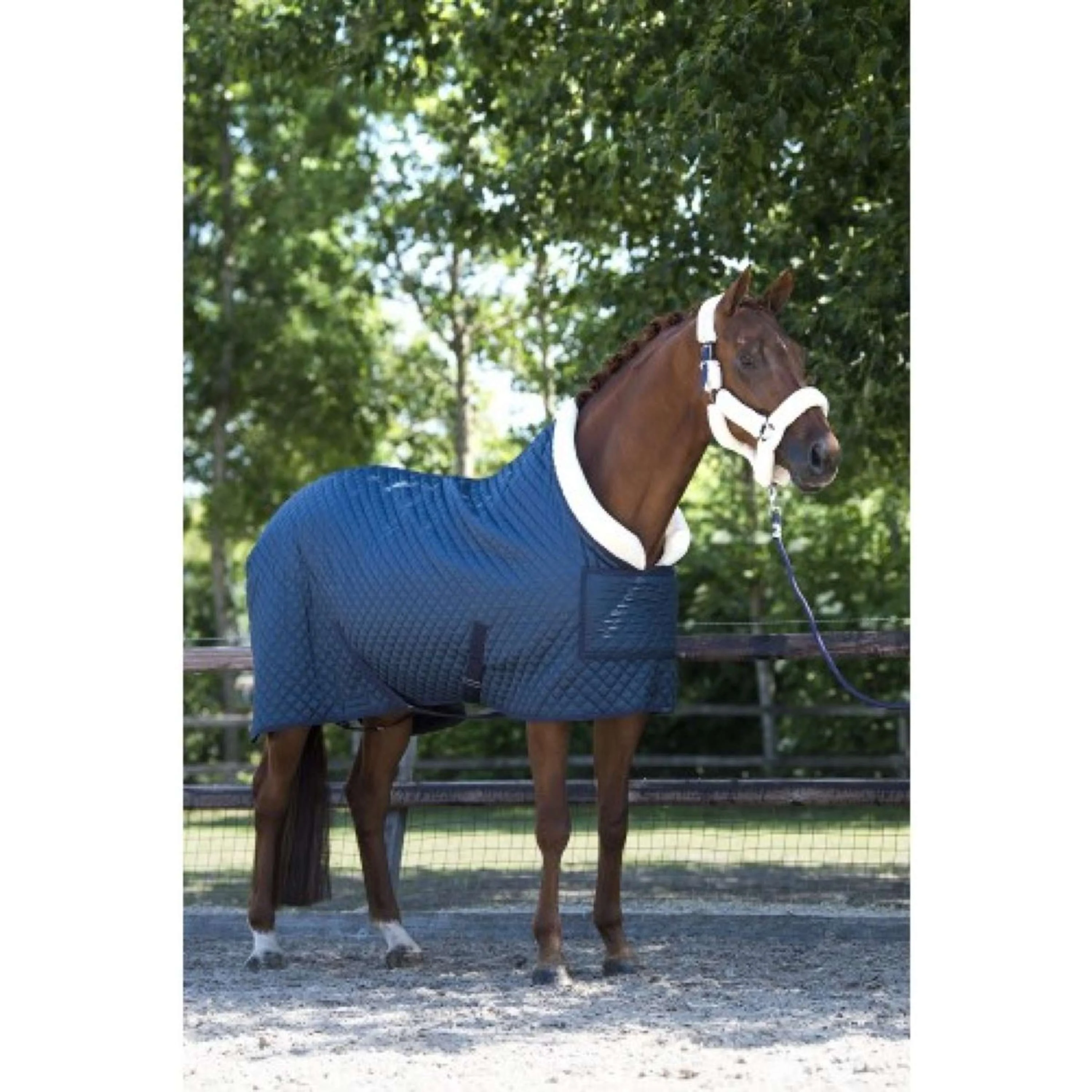 HB Showtime Showdecke Desire160gr Stahlblau - Image 9