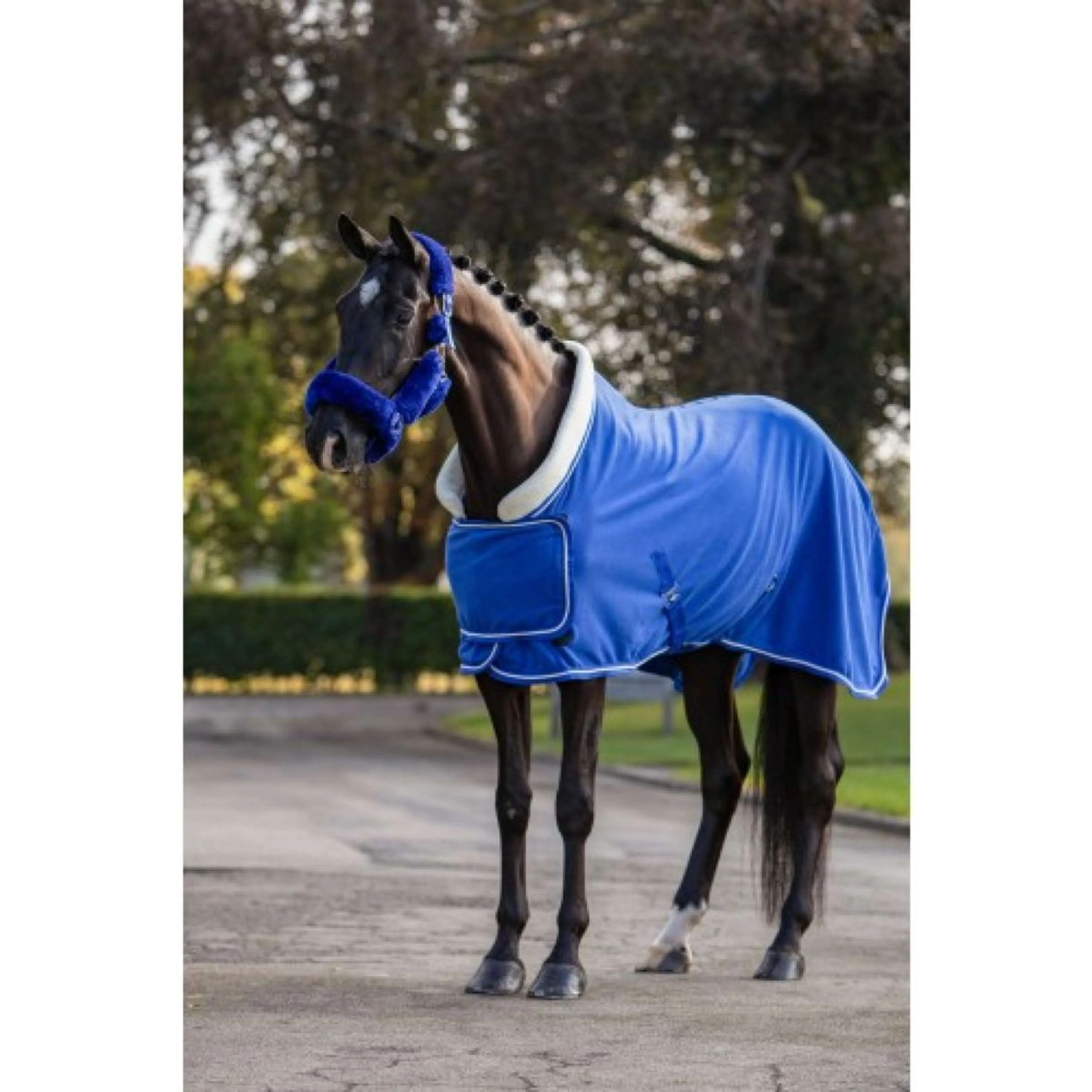 HB Showtime Showdecke Fleece 400gr Dutch Crown Royal Blue - Image 10